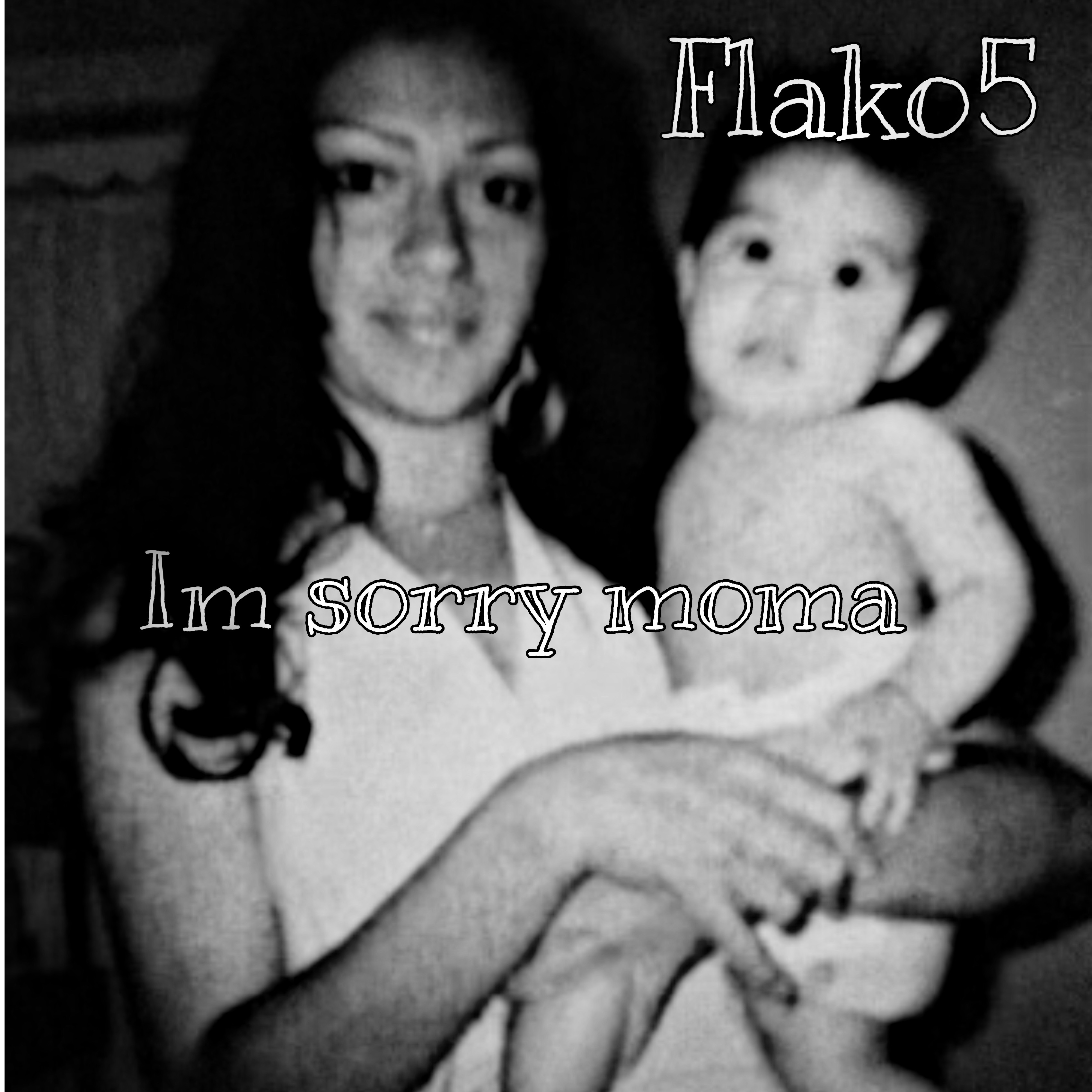 Im Sorry Moma artwork