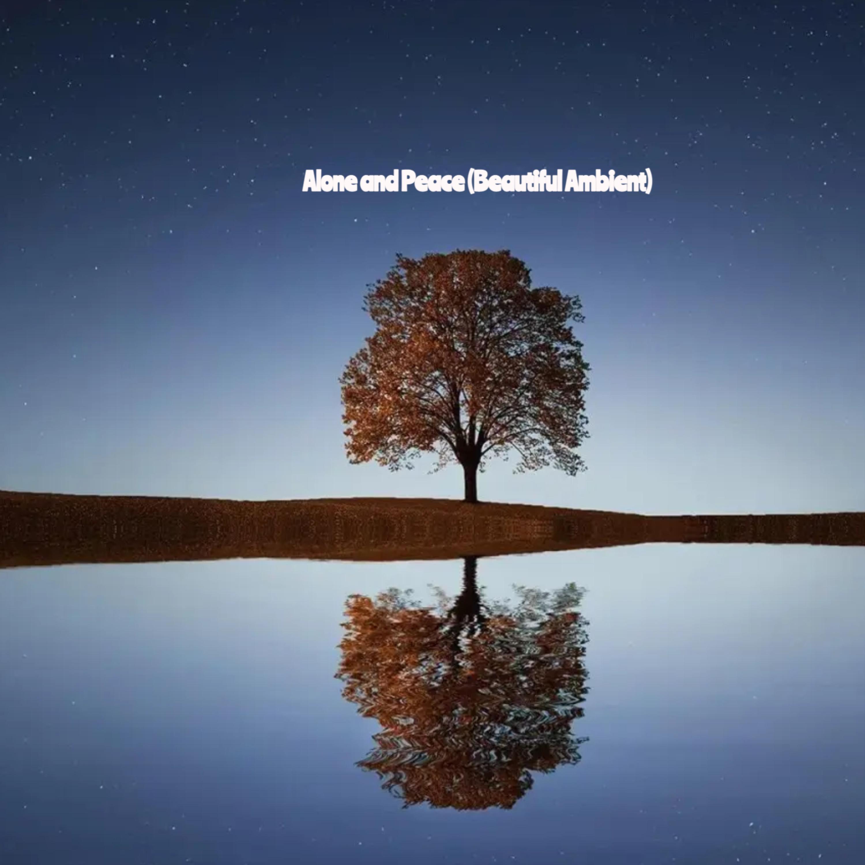 Alone and Peace (Beautiful Ambient) artwork