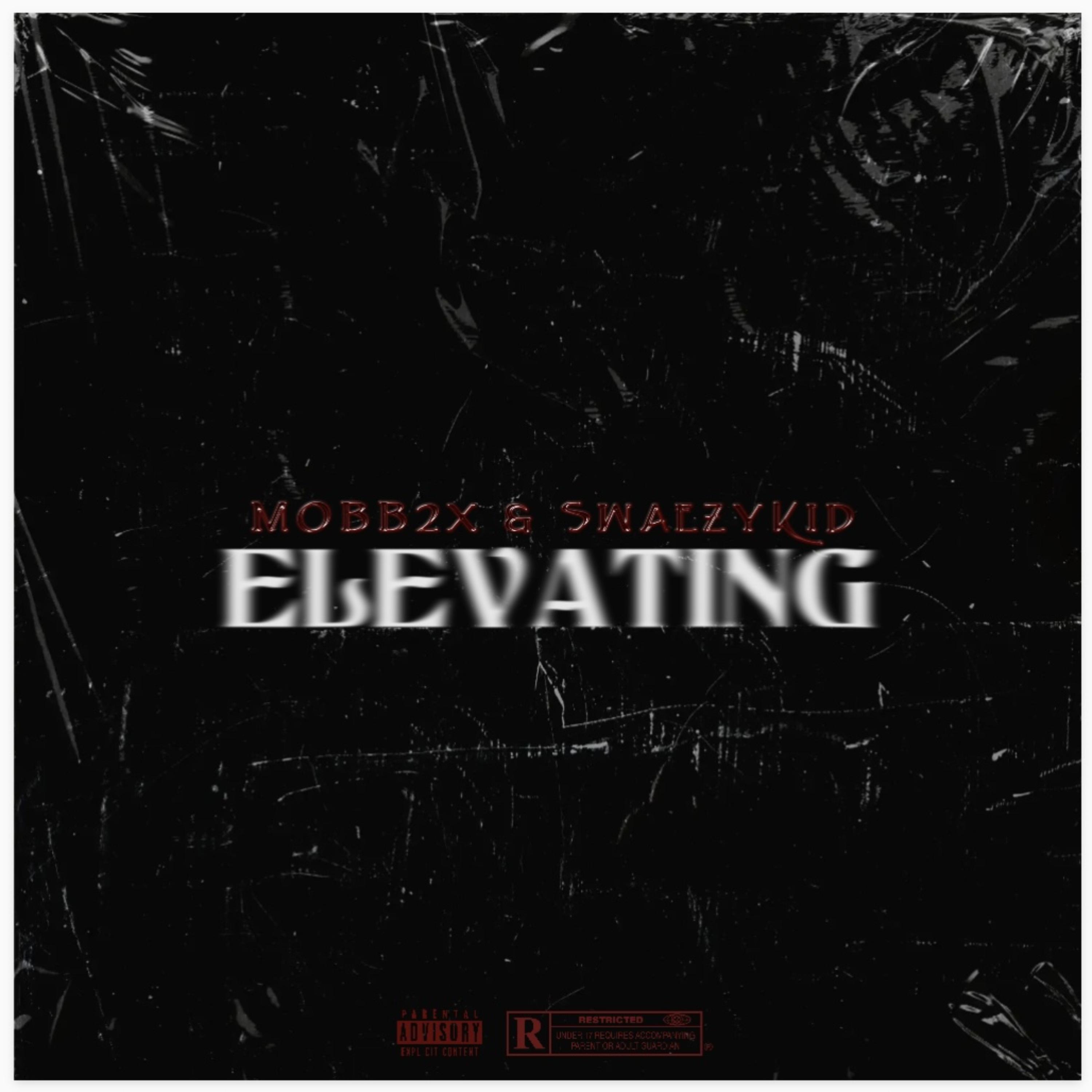 ELEVATING artwork