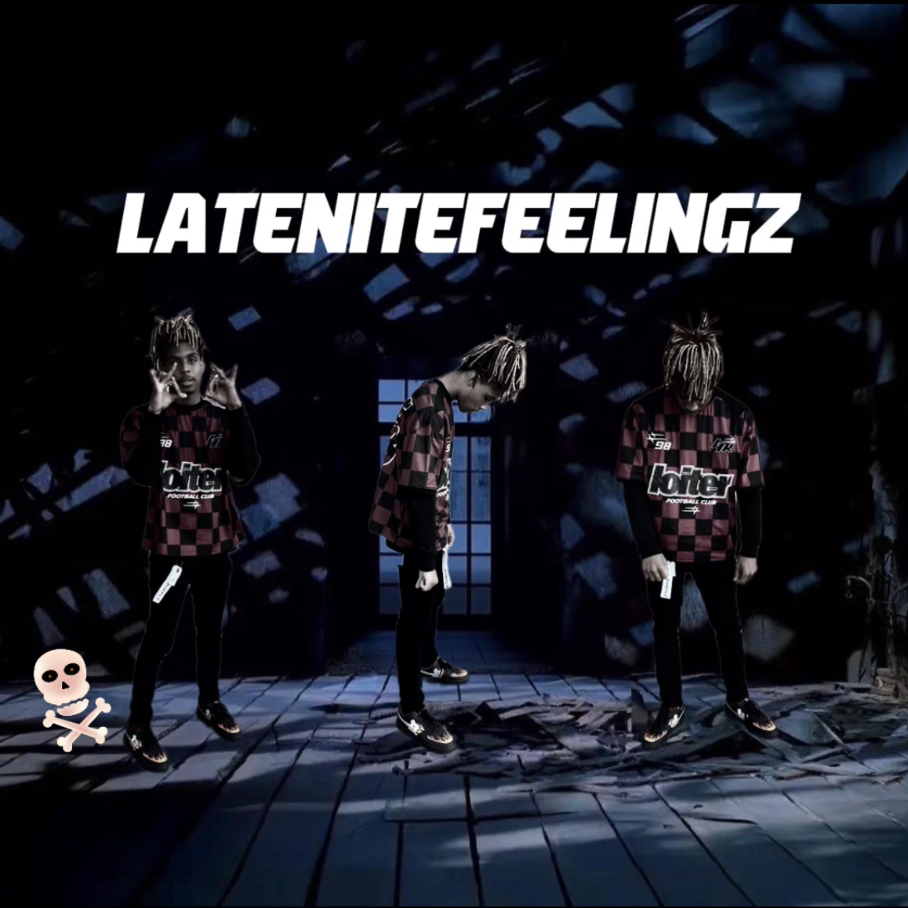 latenitefeelings artwork