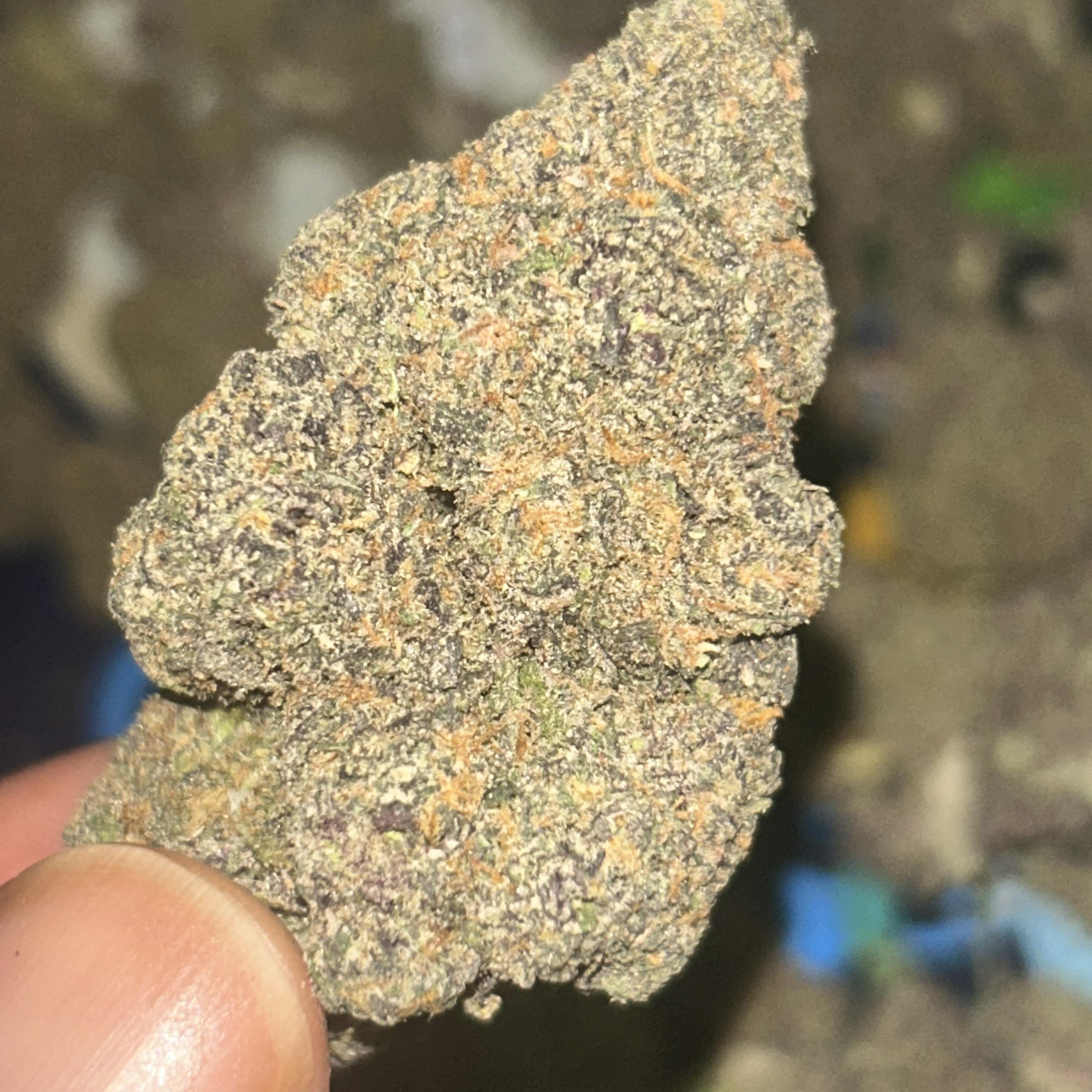 King Of Budz artwork
