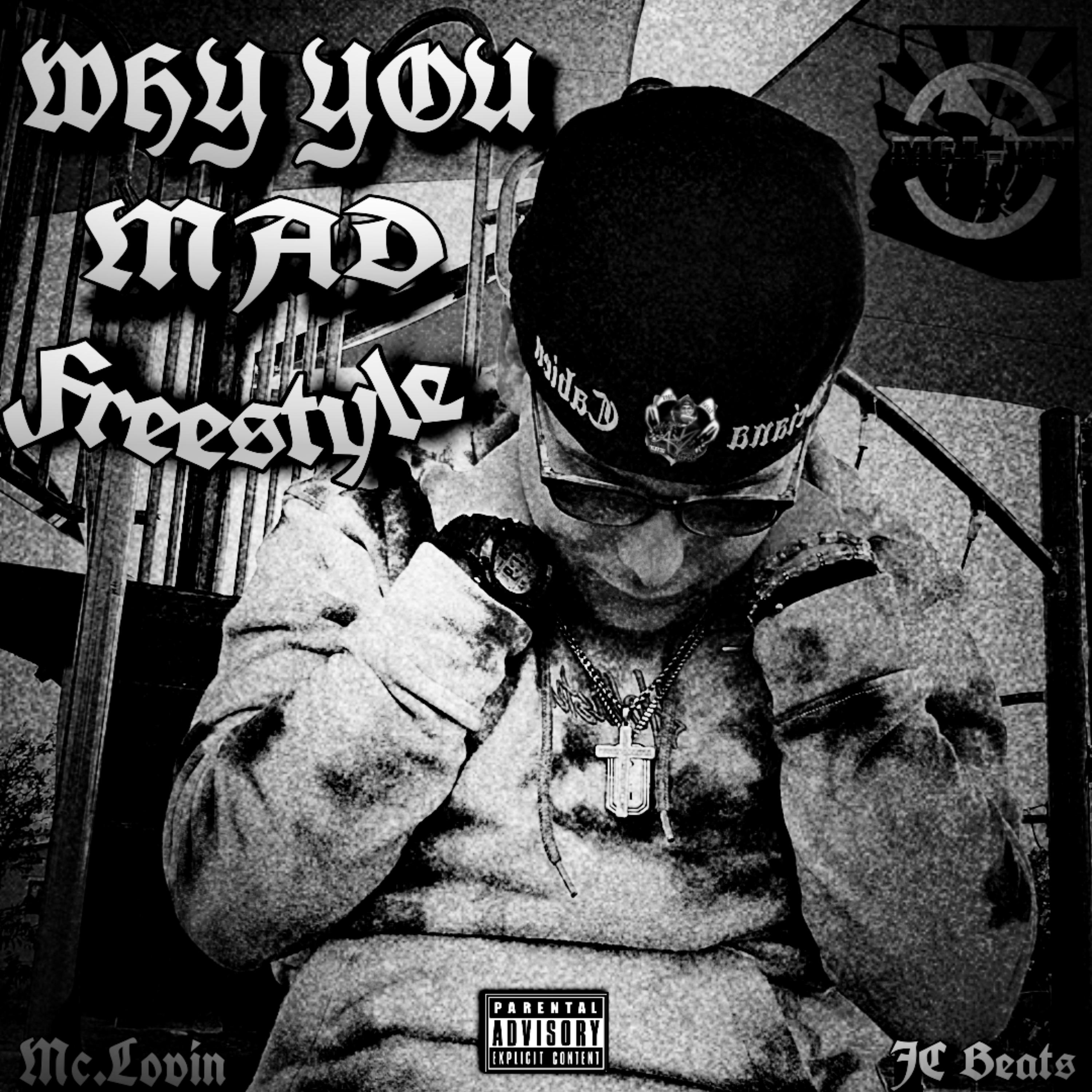 WHY YOU MAD FREESTYLE artwork