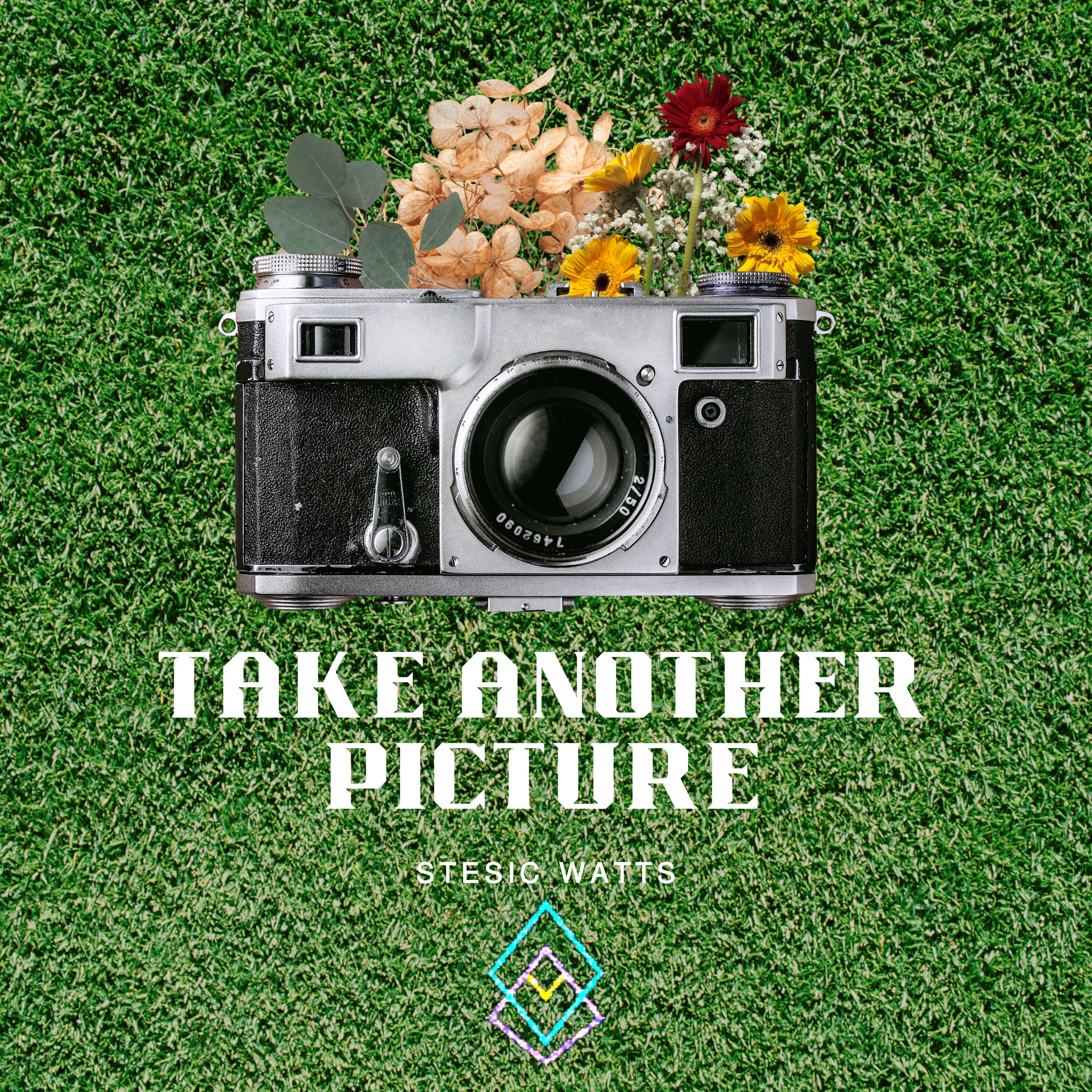 Take Another Picture (She Don't Know) artwork