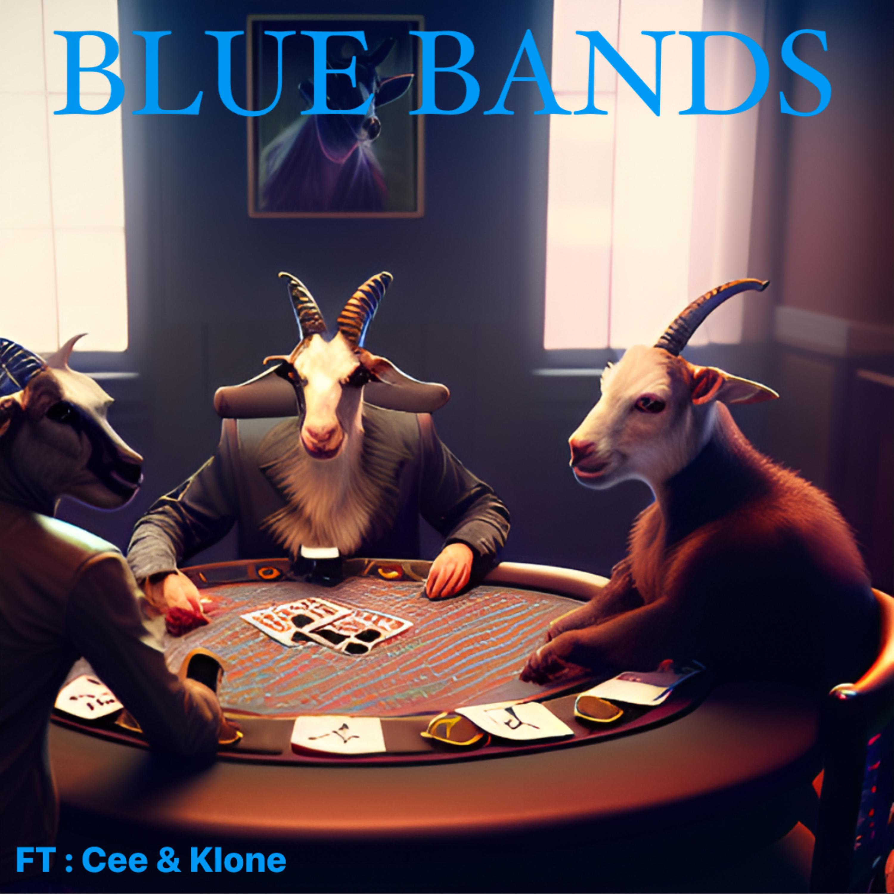 BLUE BANDS artwork