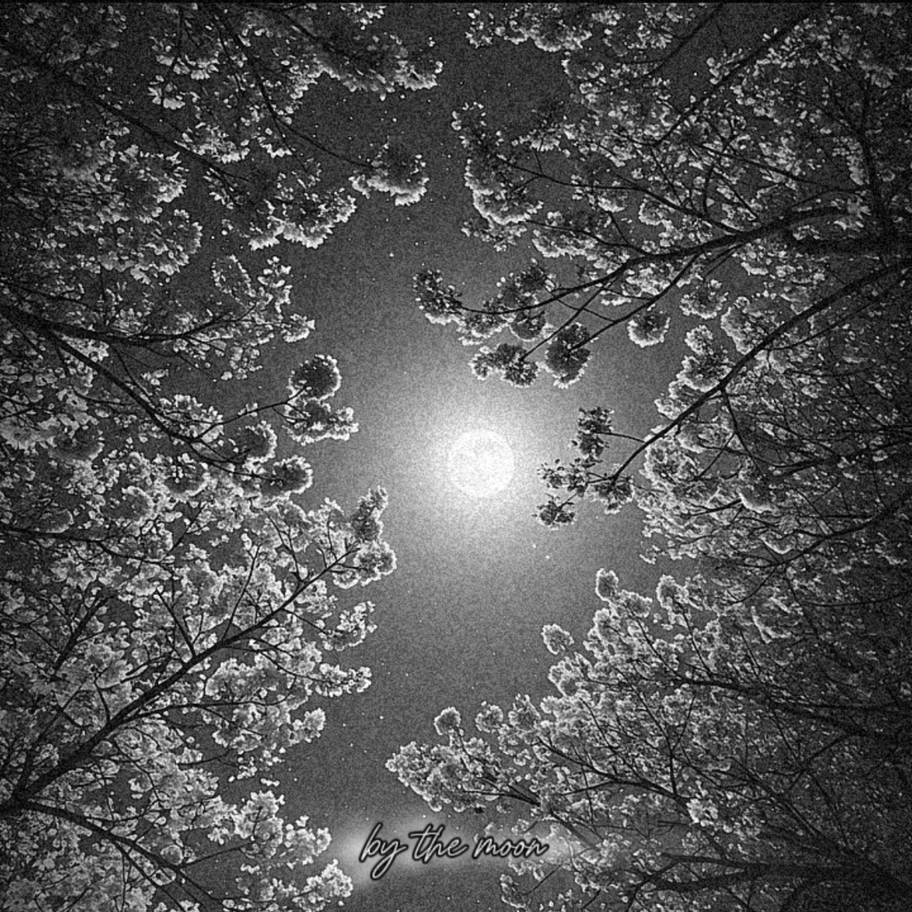 by the moon artwork