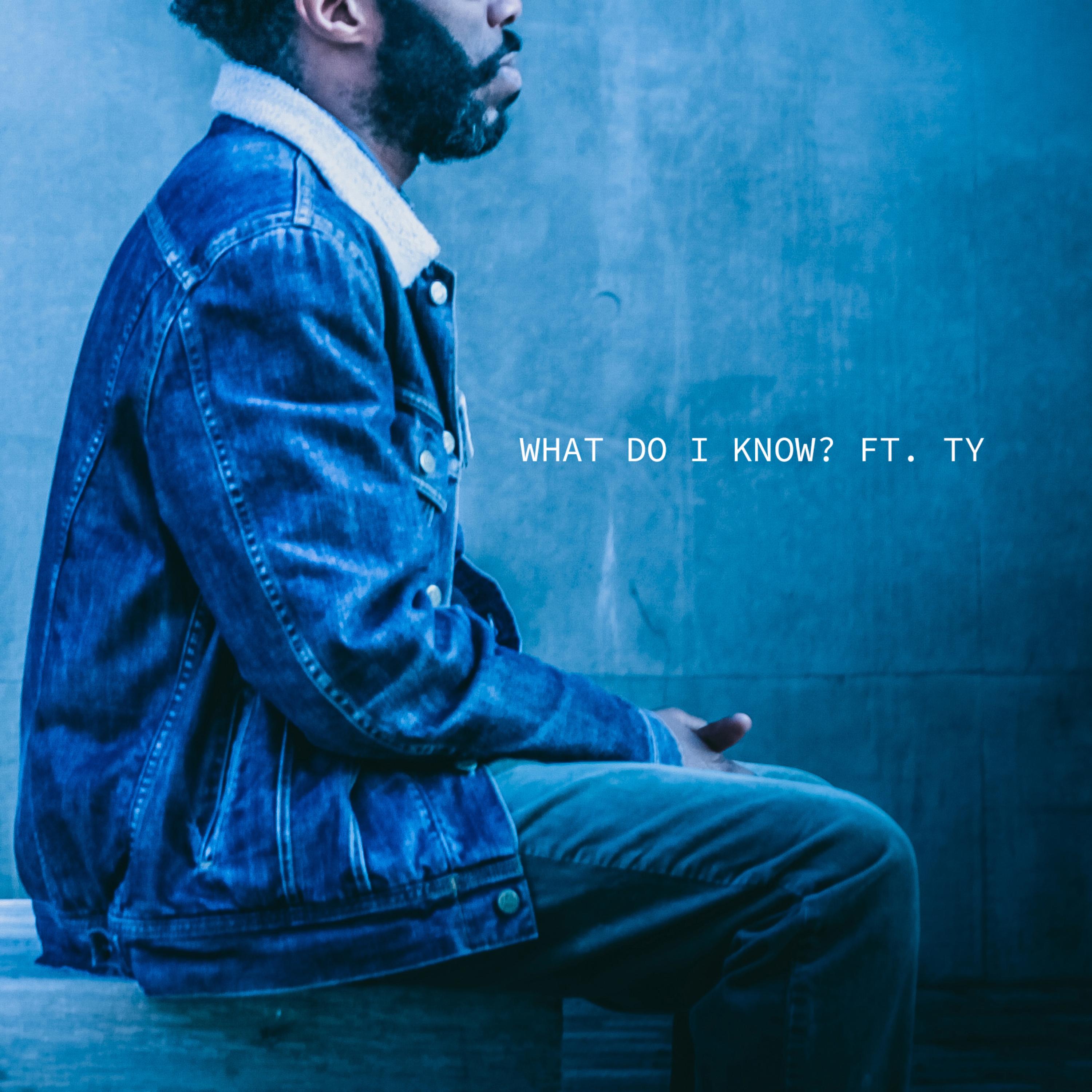What do I know artwork
