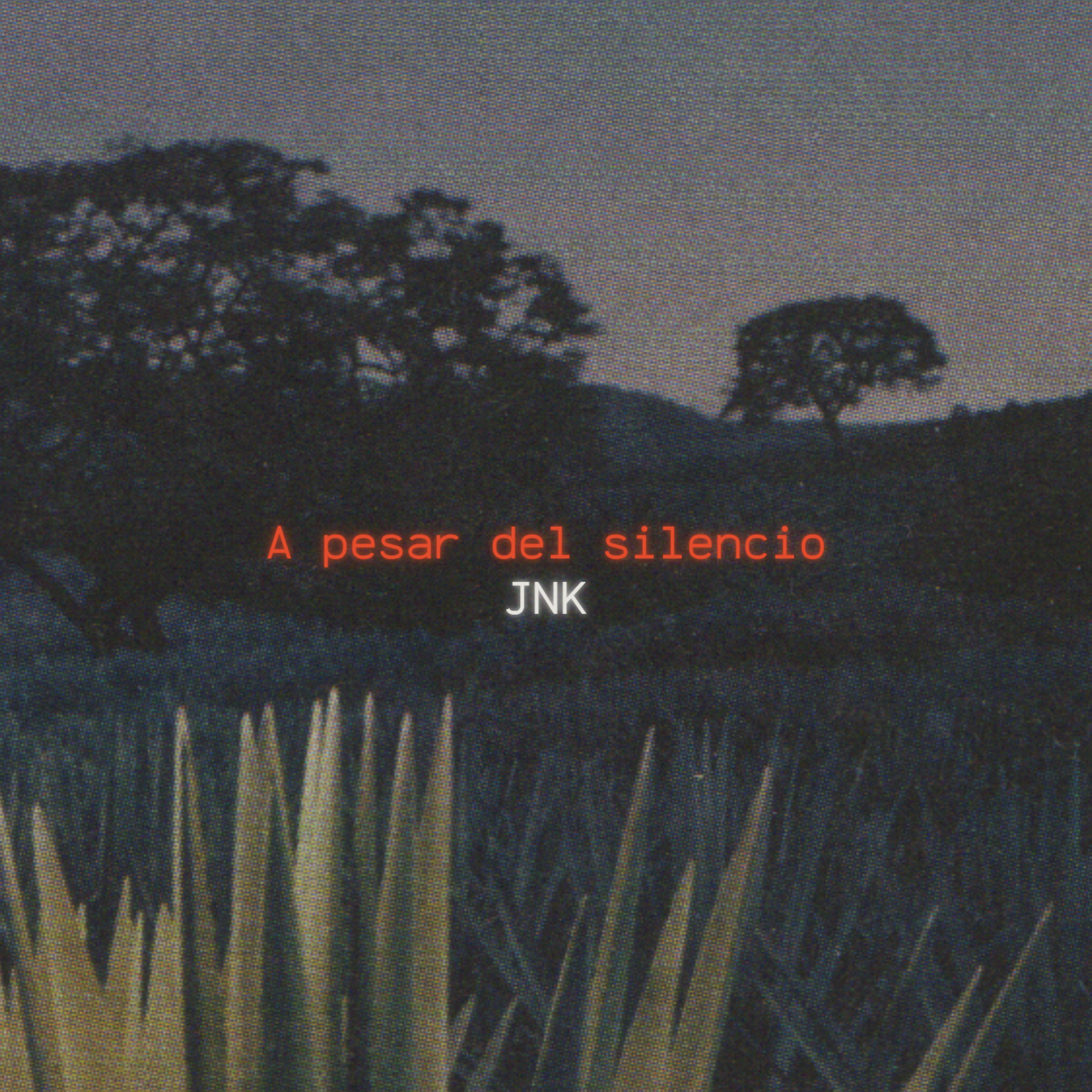 A Pesar Del Silencio artwork