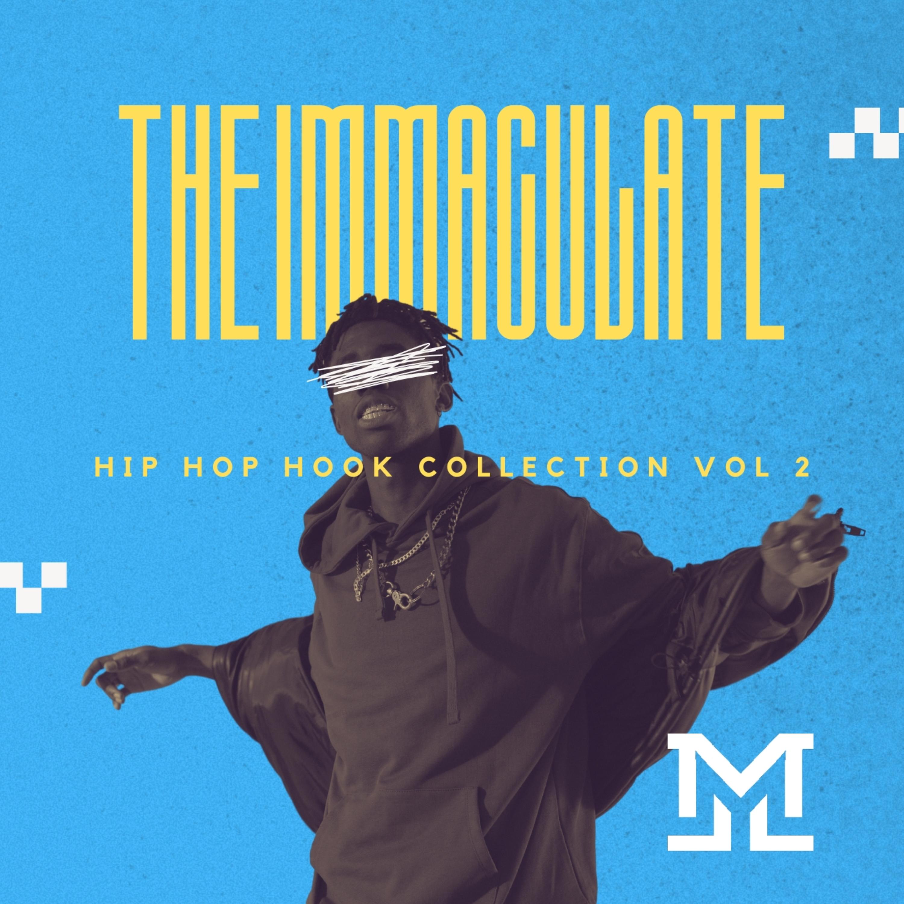The Immaculate Hip Hop Hook Collection Vol 2 artwork