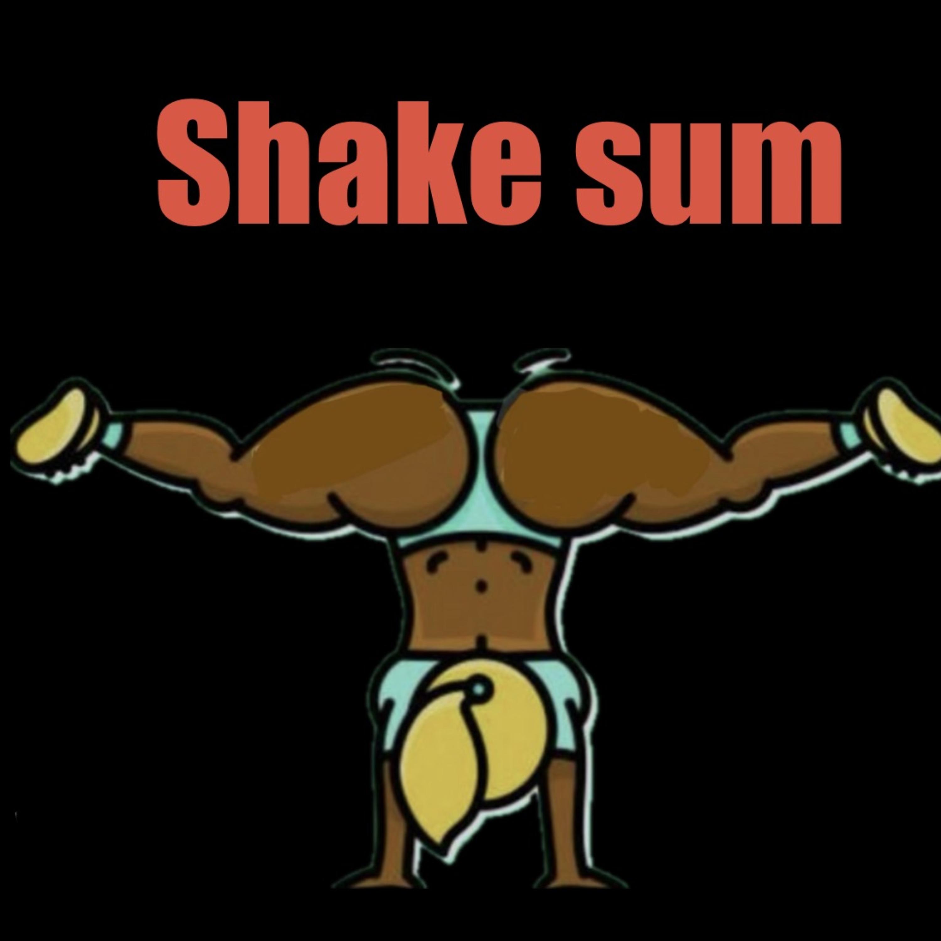 Shake Sum artwork