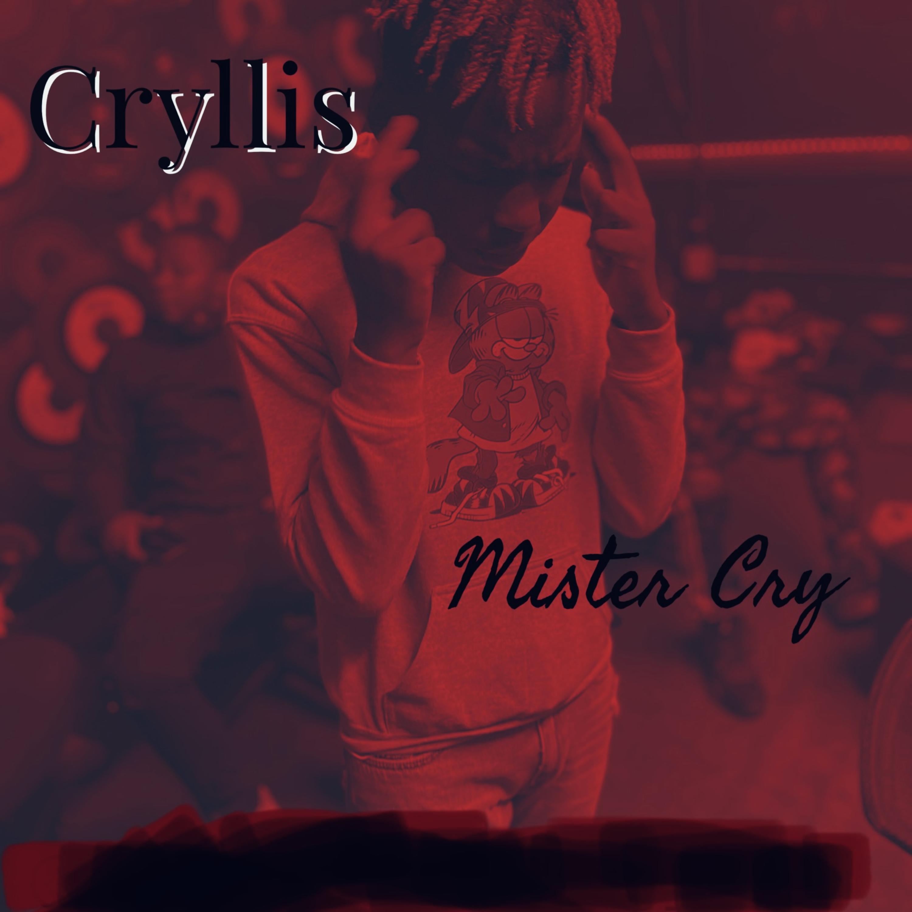 Mister Cry artwork