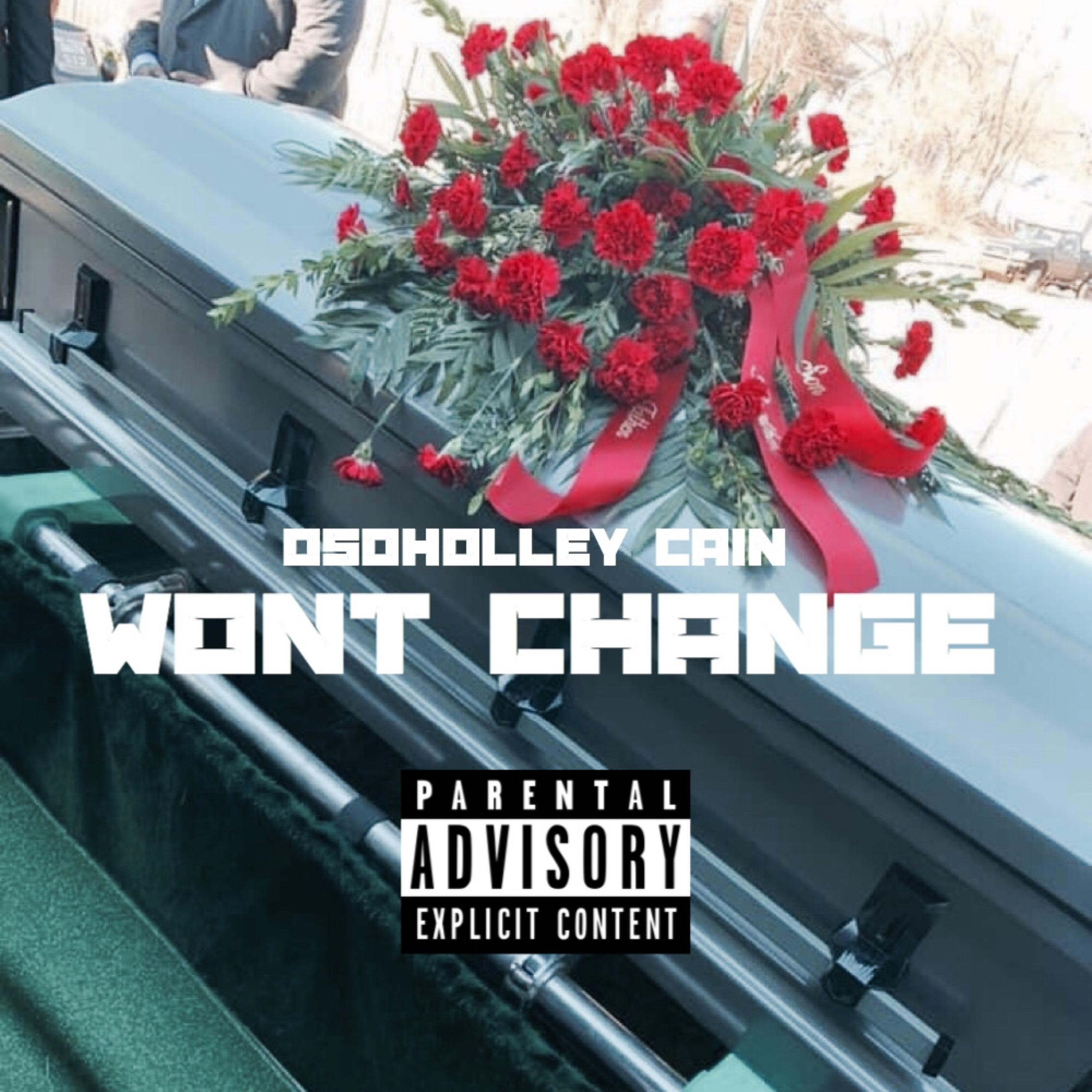 Wont Change artwork