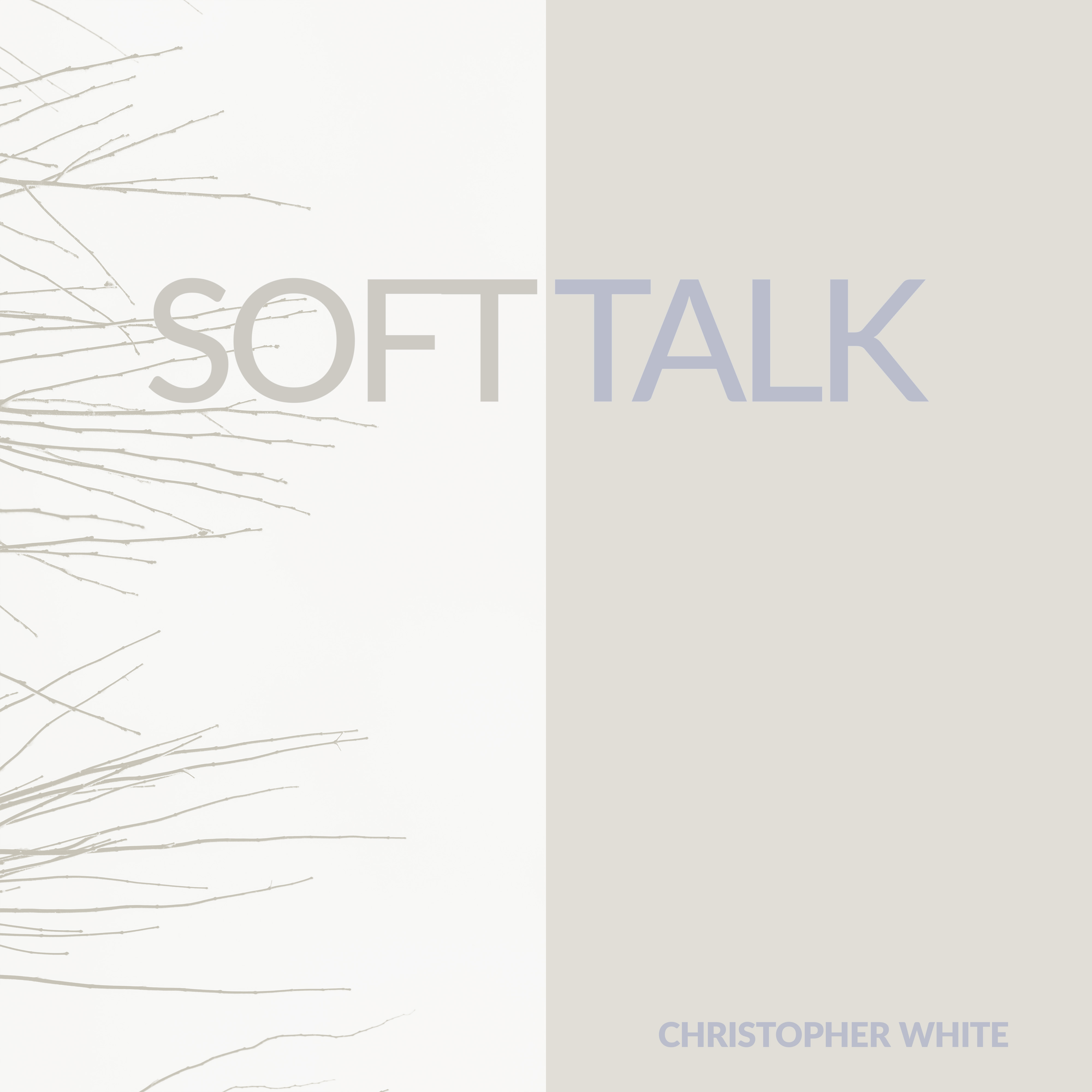 Soft Talk artwork