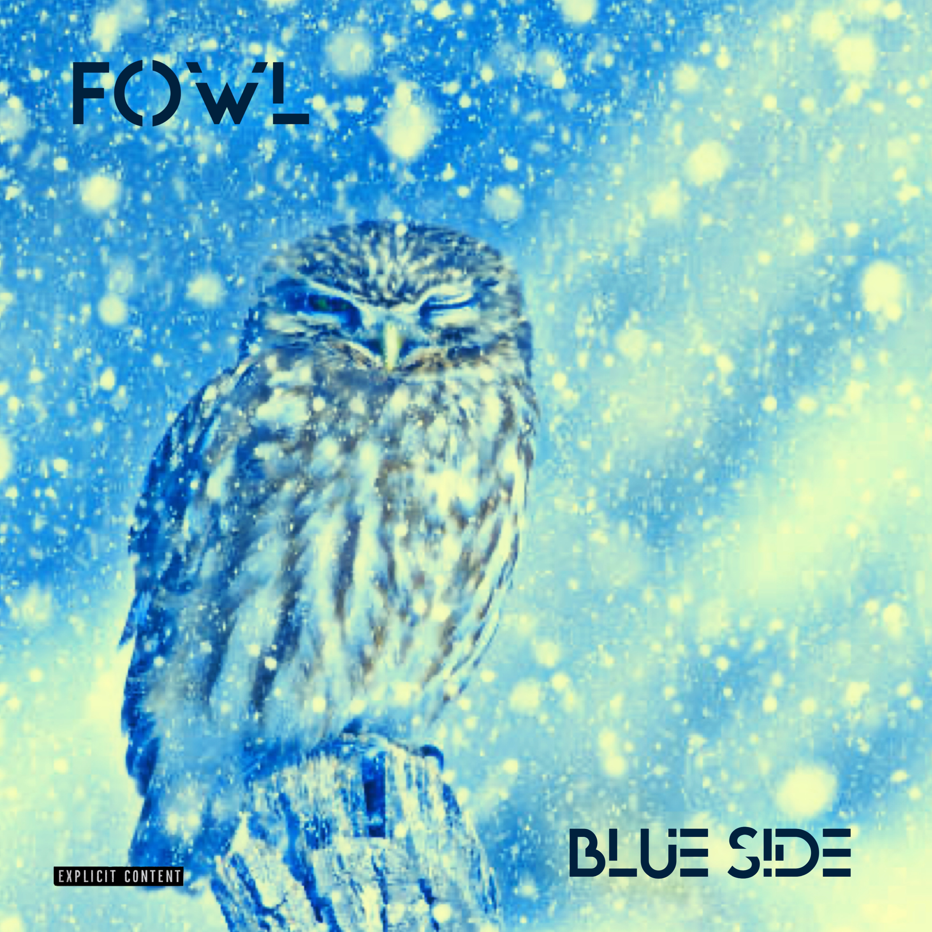 Fowl Blue Side artwork