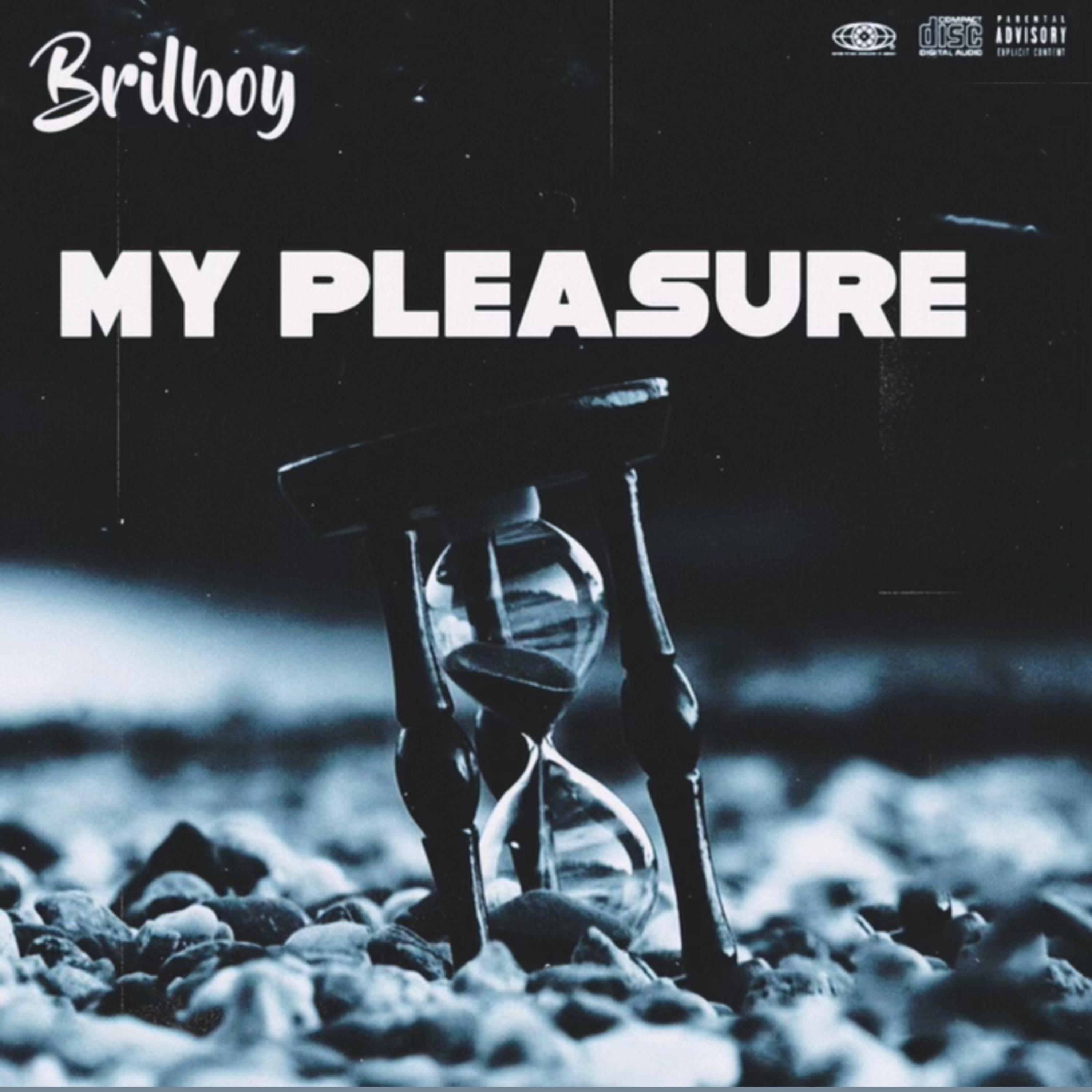 My Pleasure artwork
