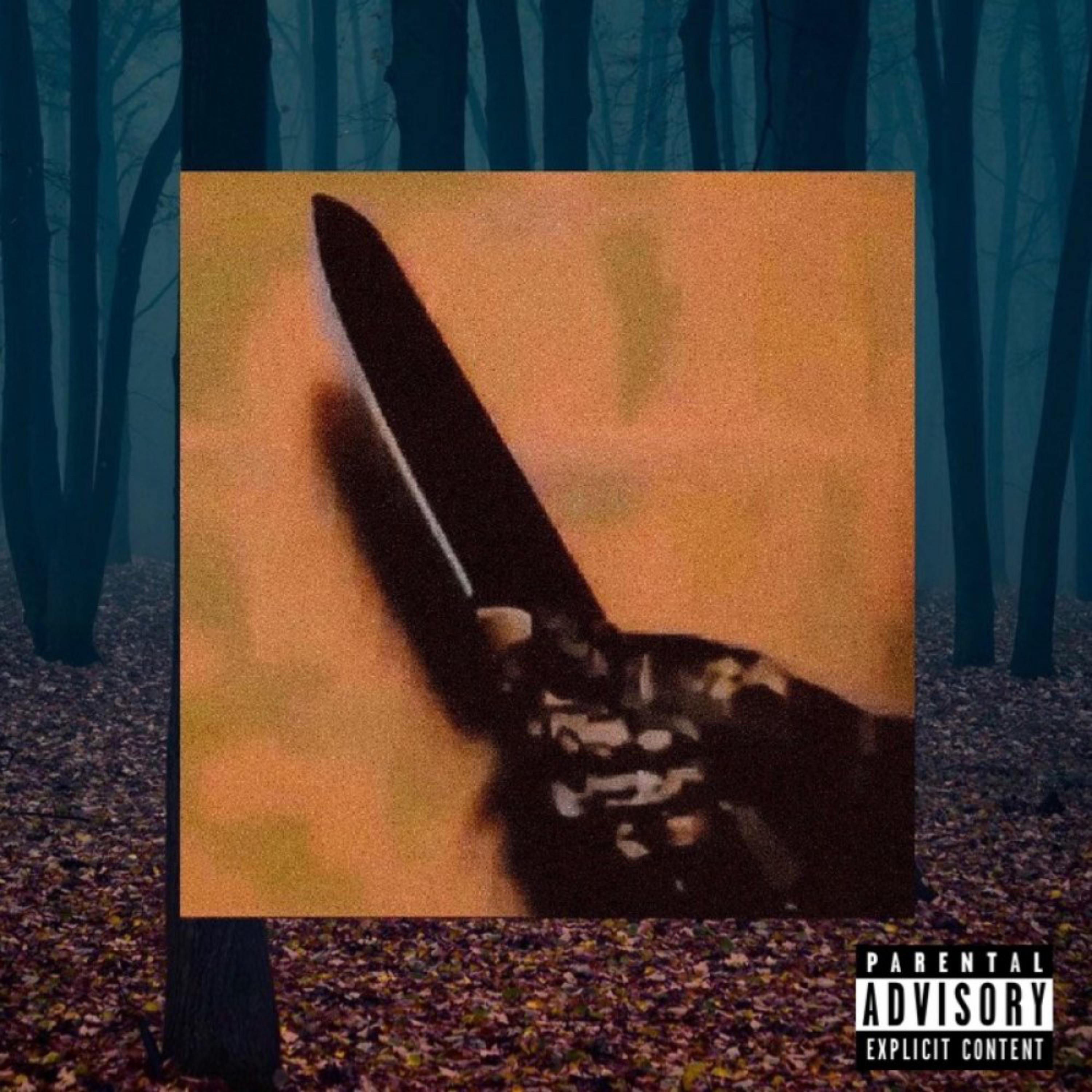 SNITCHES GET STITCHES artwork
