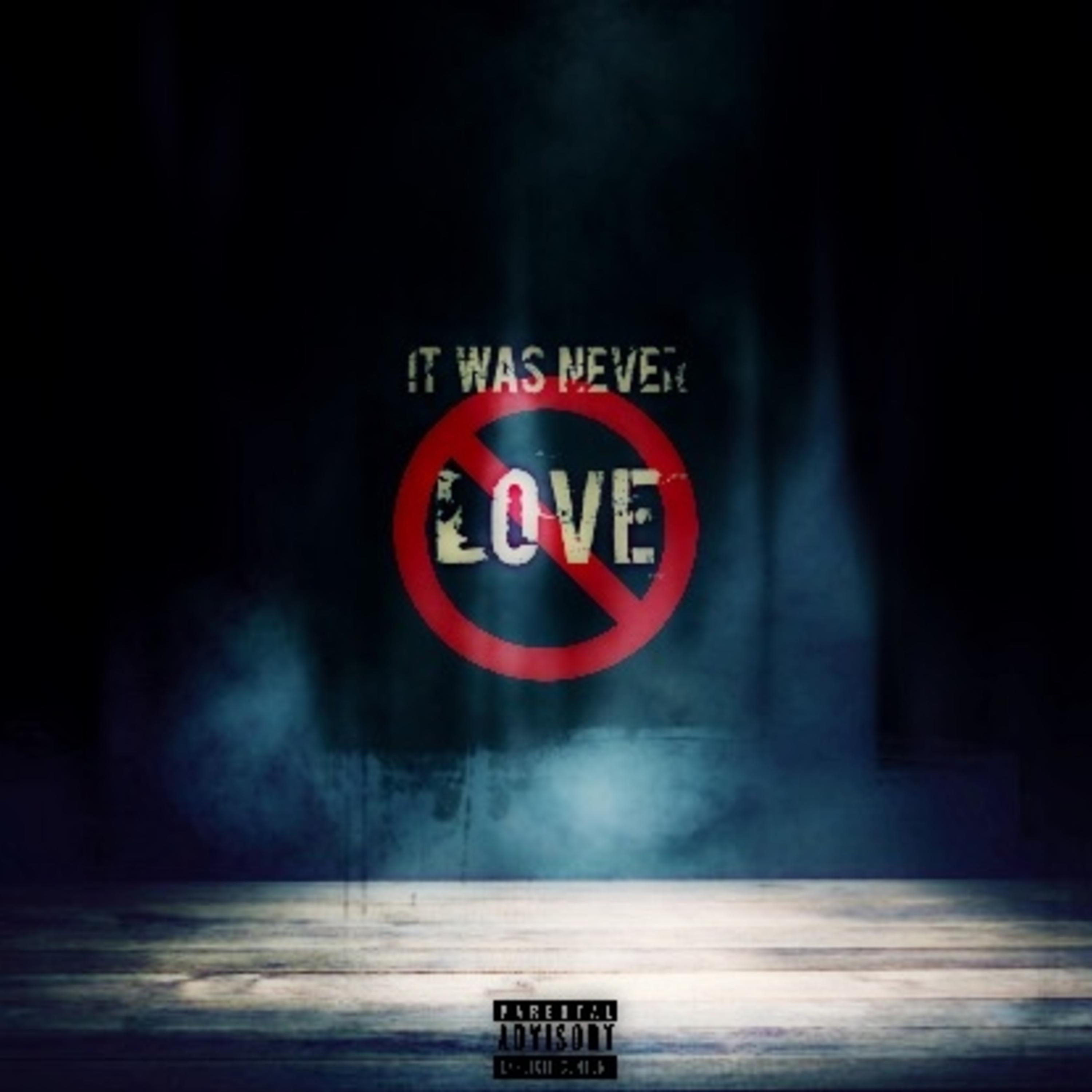 It Was Never Love artwork