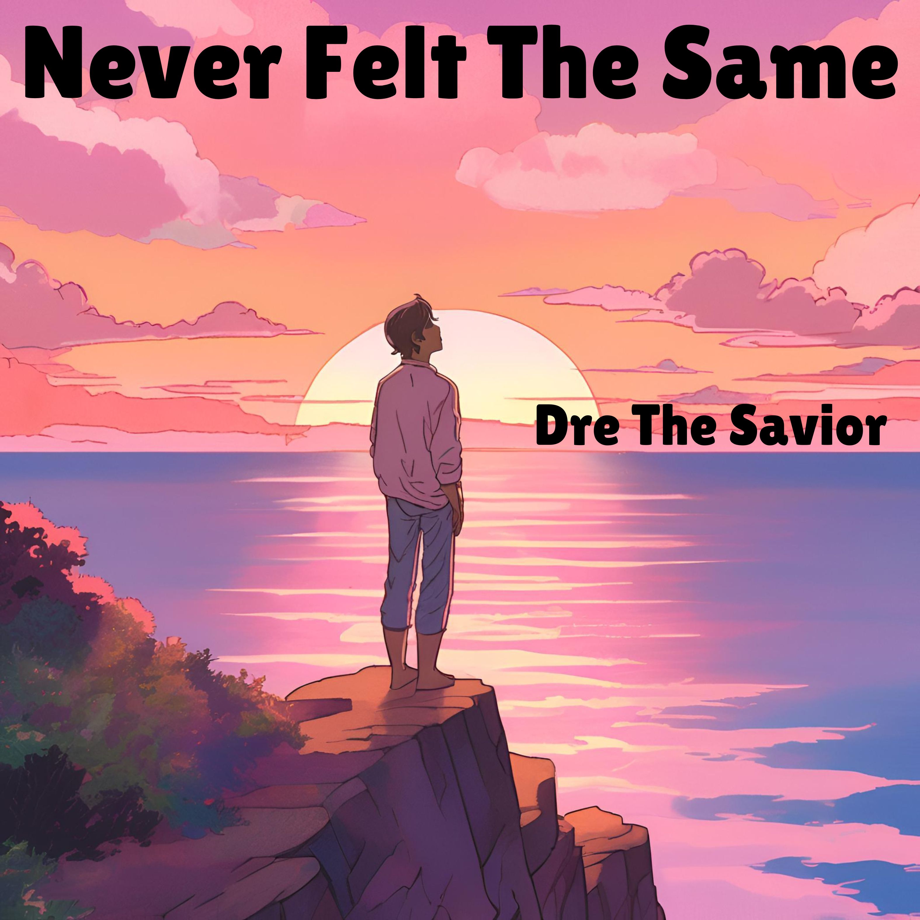 Never Felt The Same artwork