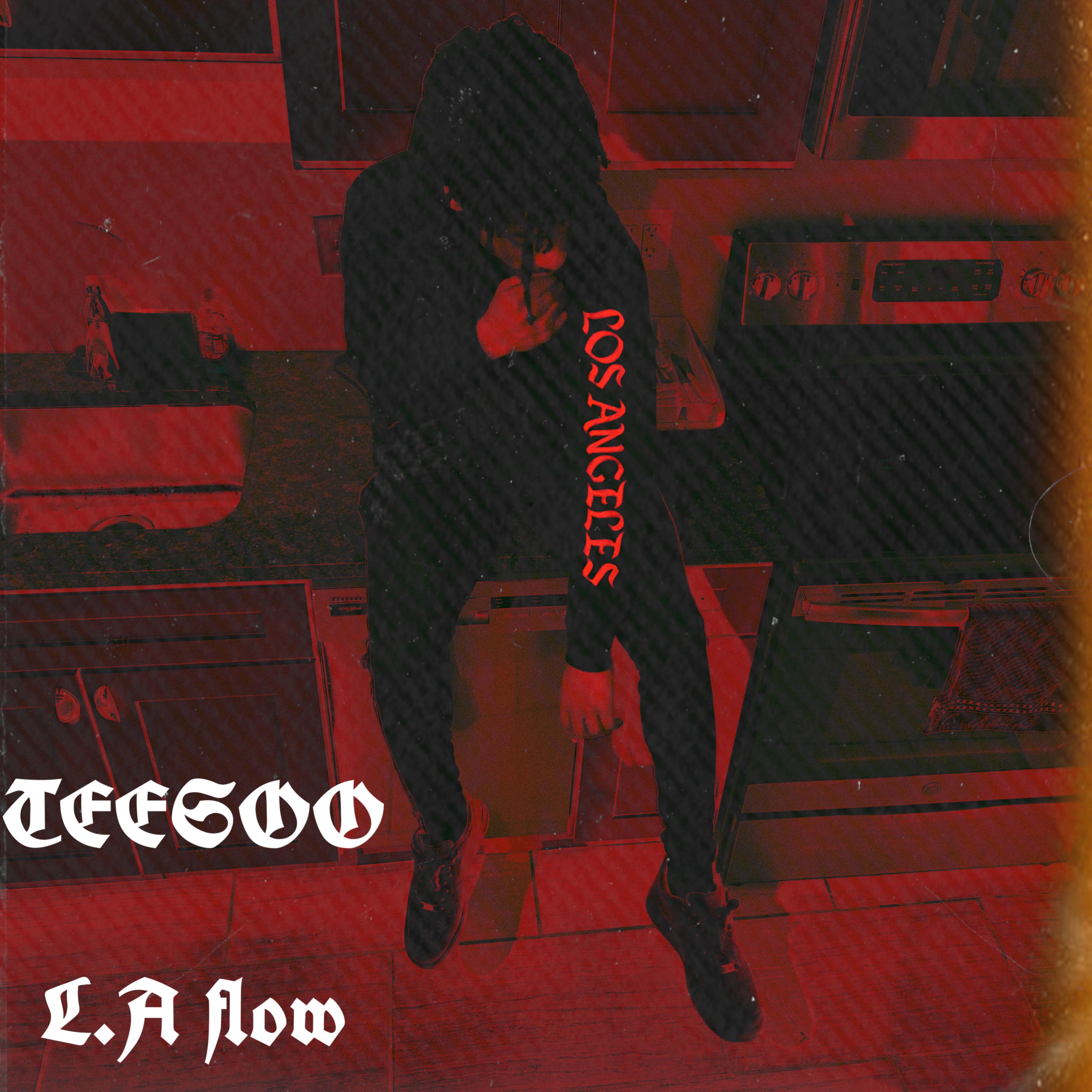 LA Flow artwork