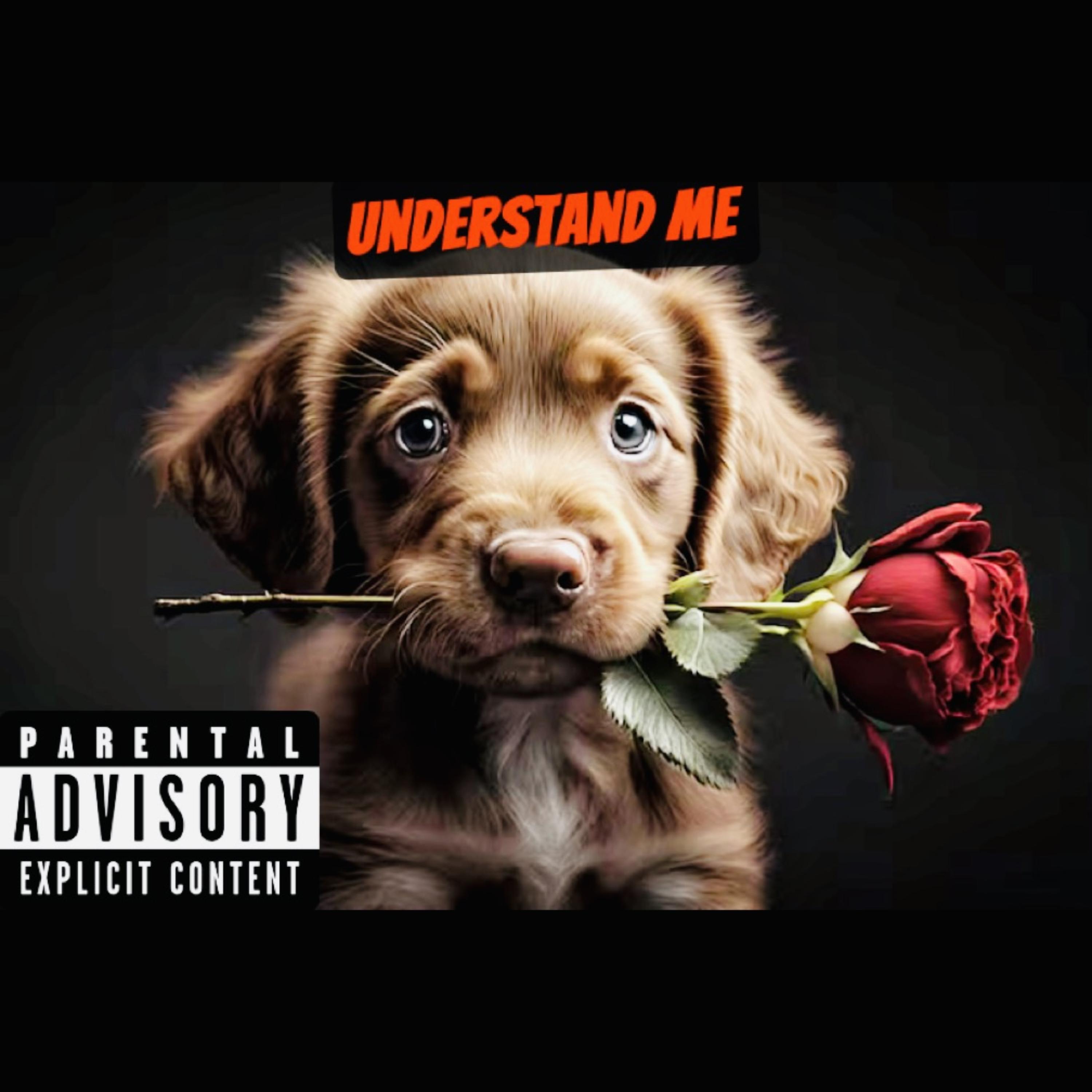 Understand Me artwork