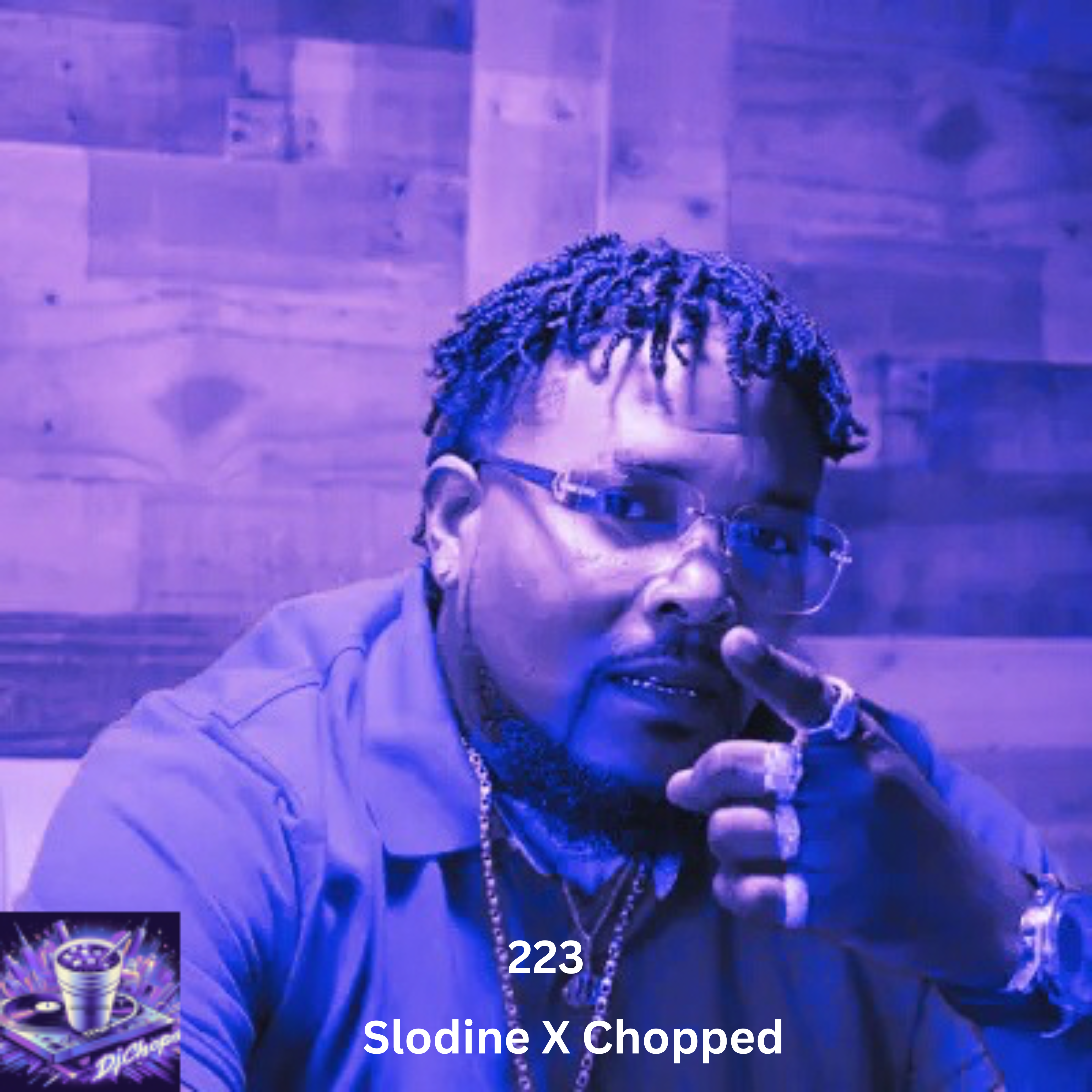 223(Slodine X Chopped) artwork