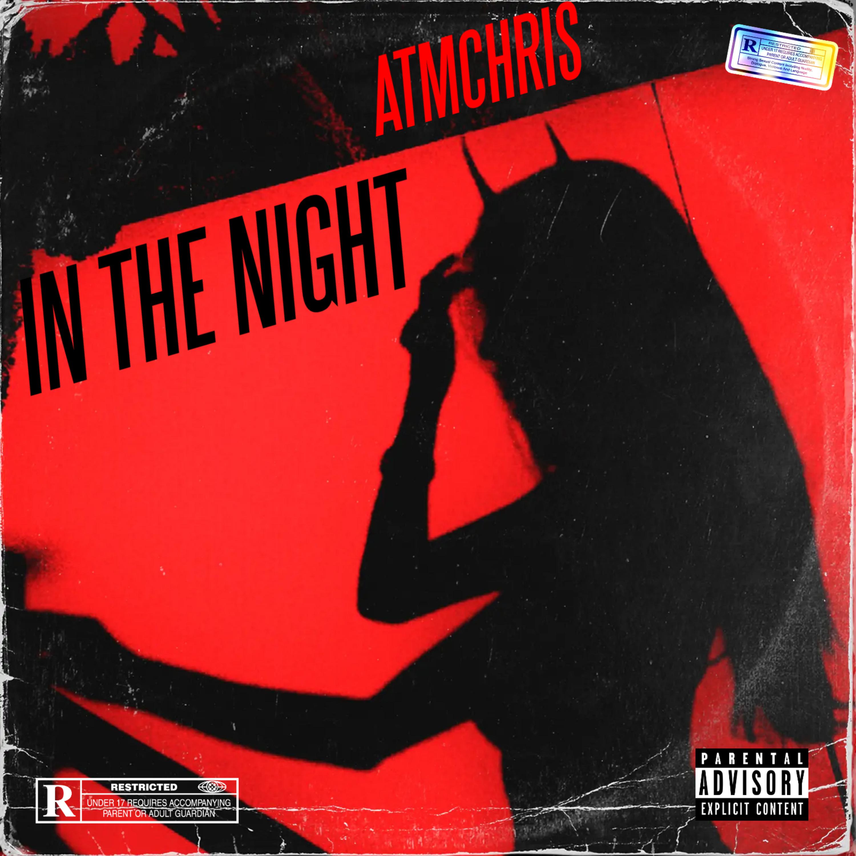 In The Night by ATMchris cover art