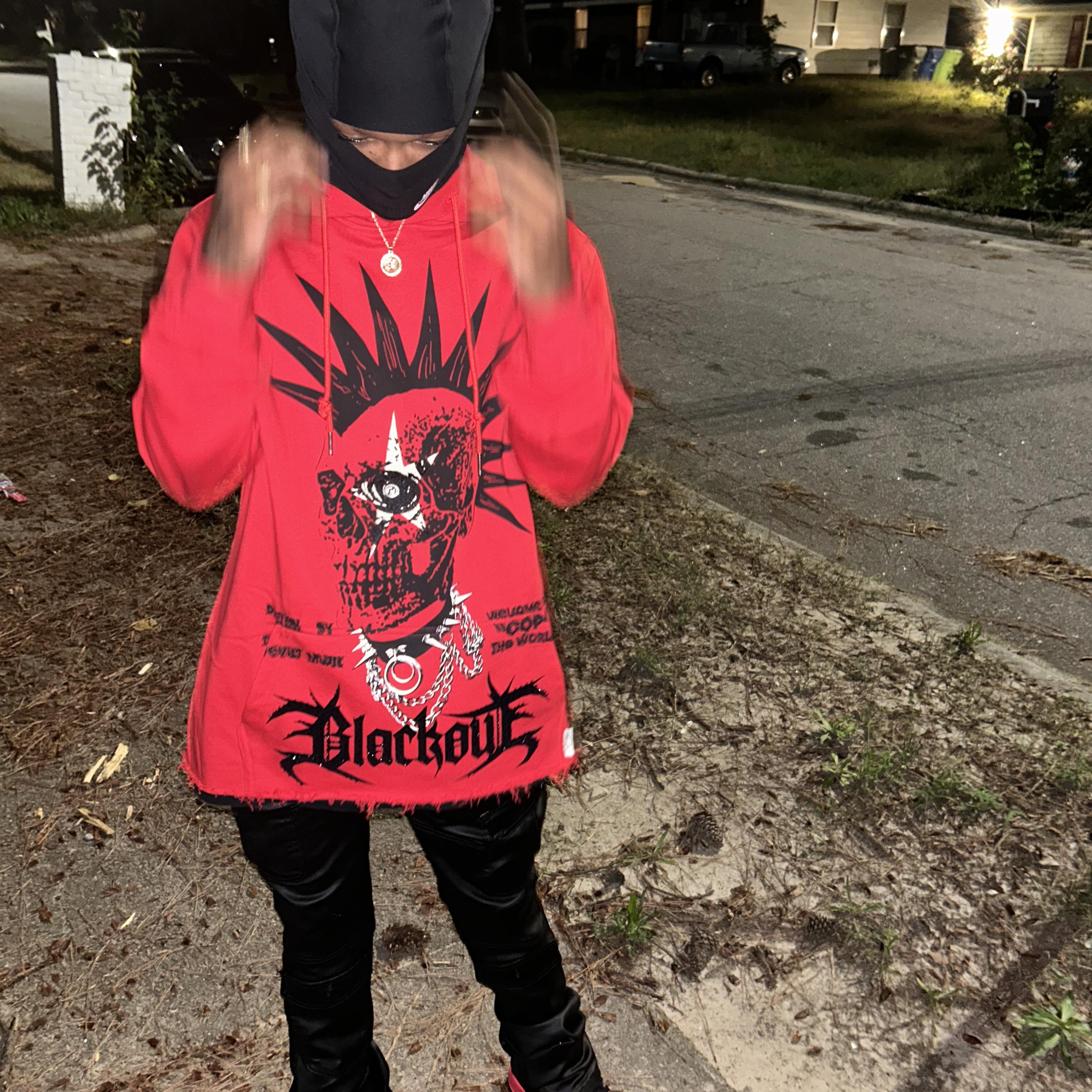 Wolfin artwork