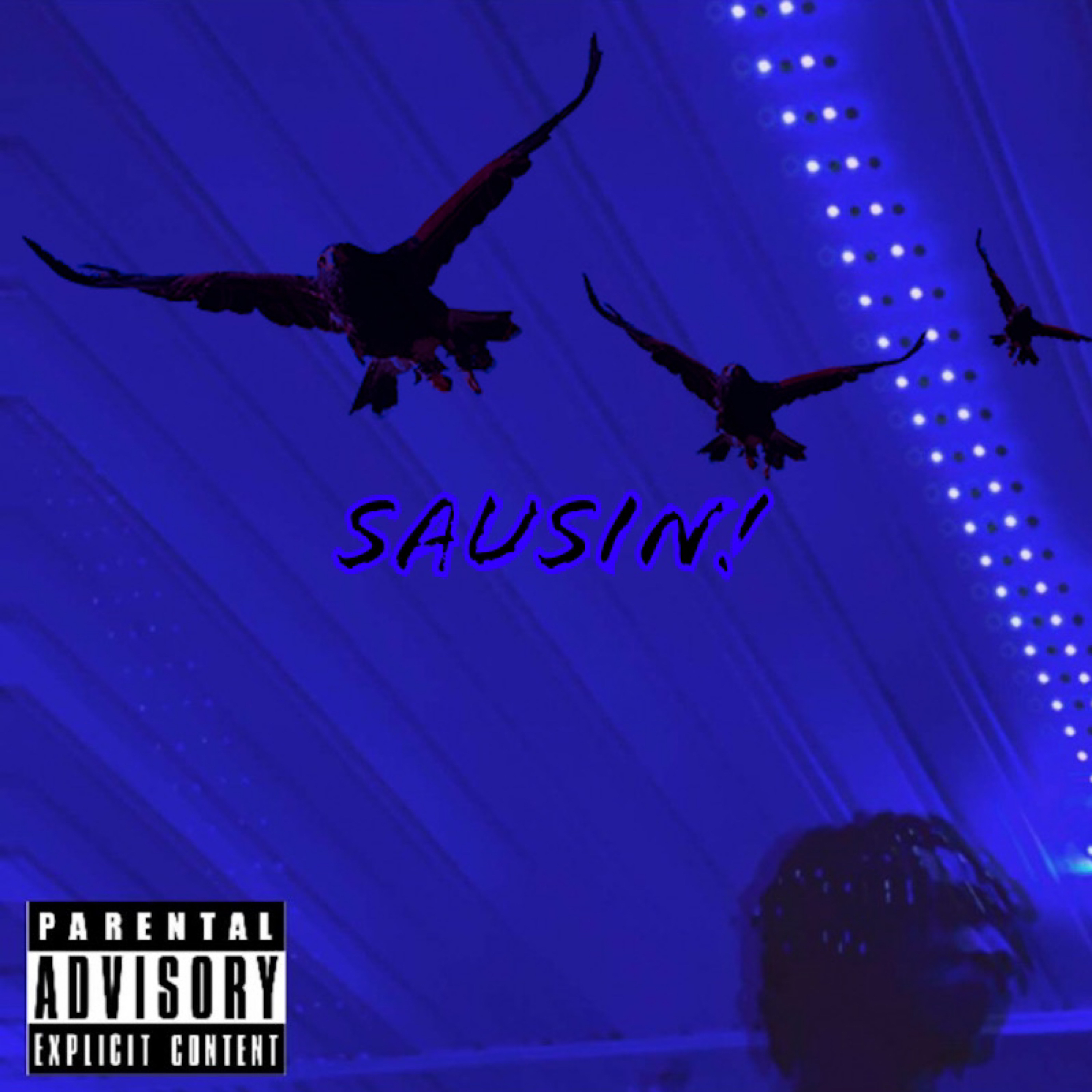 Sausin artwork