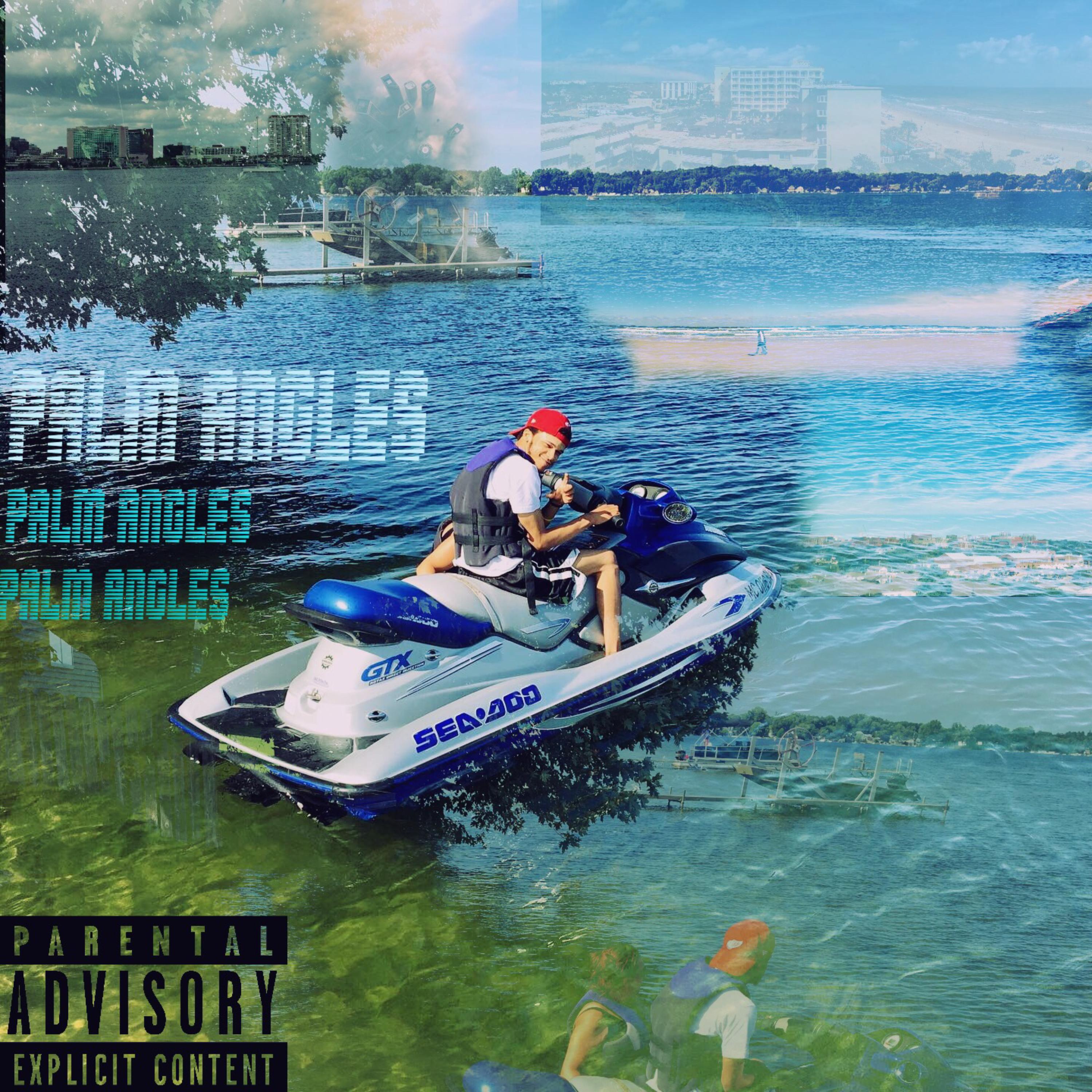 Palm Angles artwork