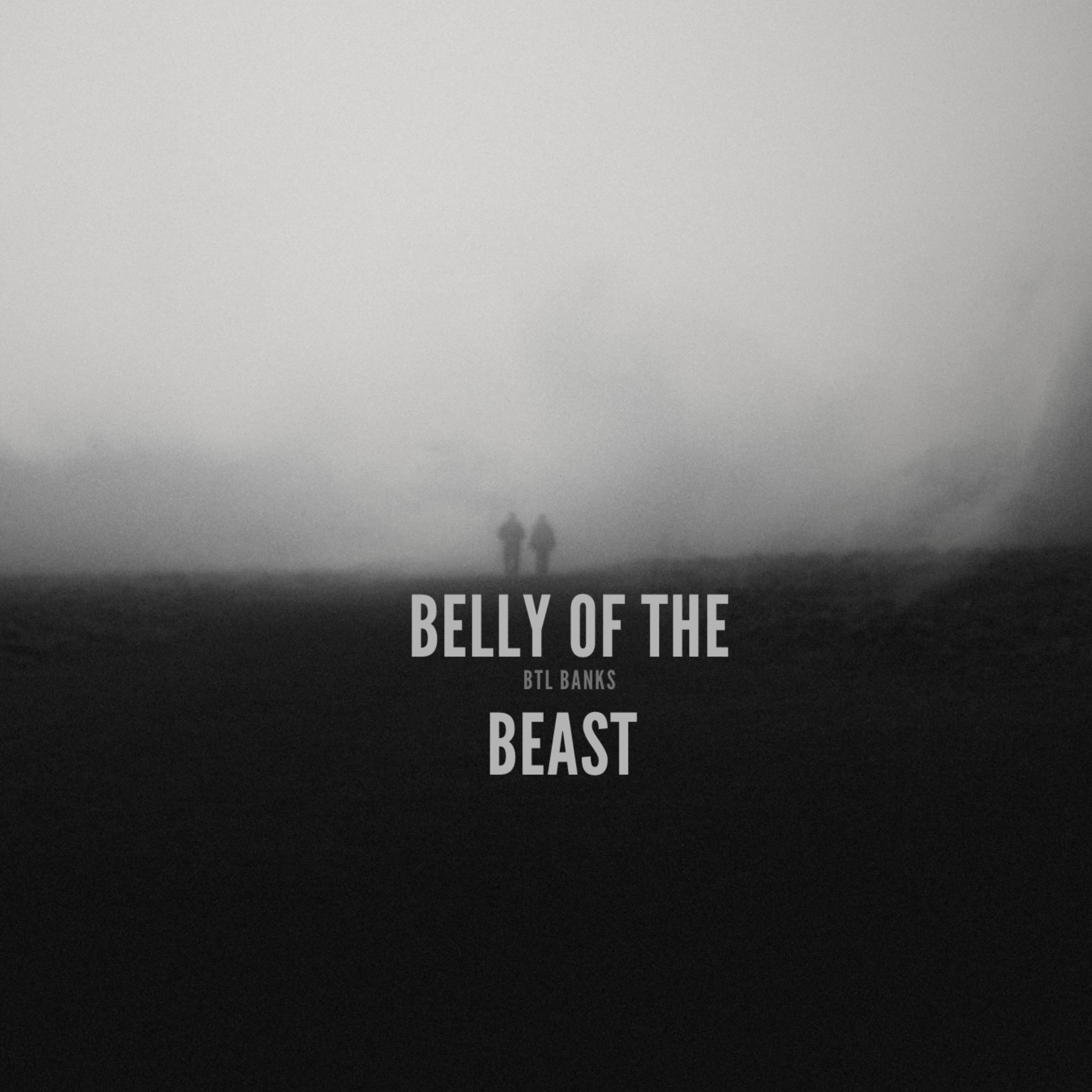 Belly Of The Beast artwork