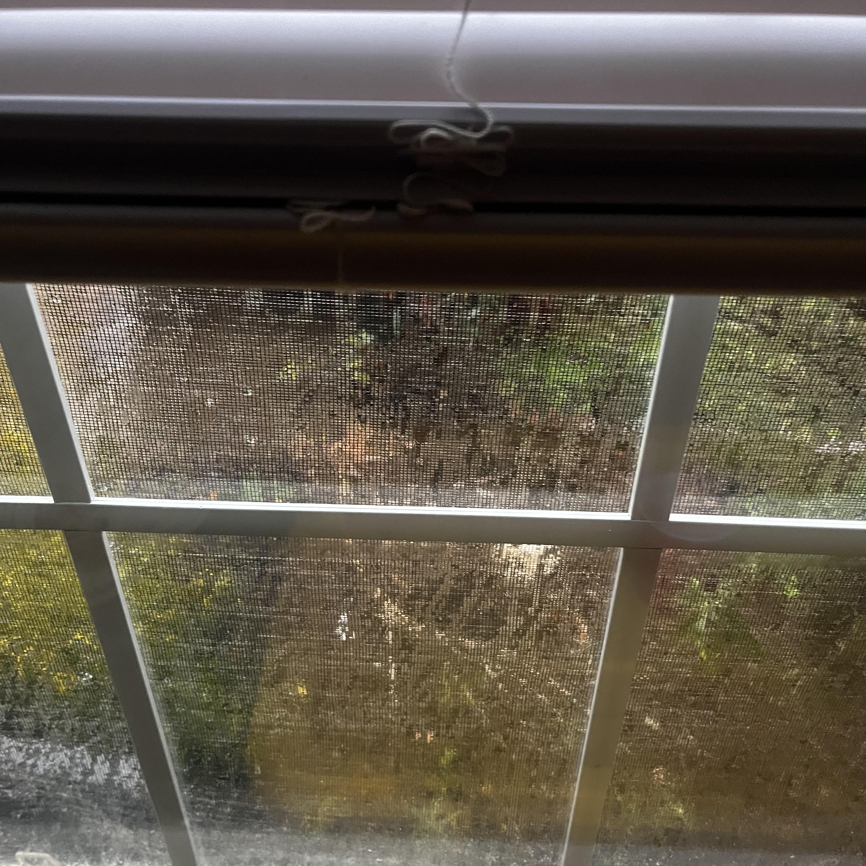 Synthetic rhymes artwork