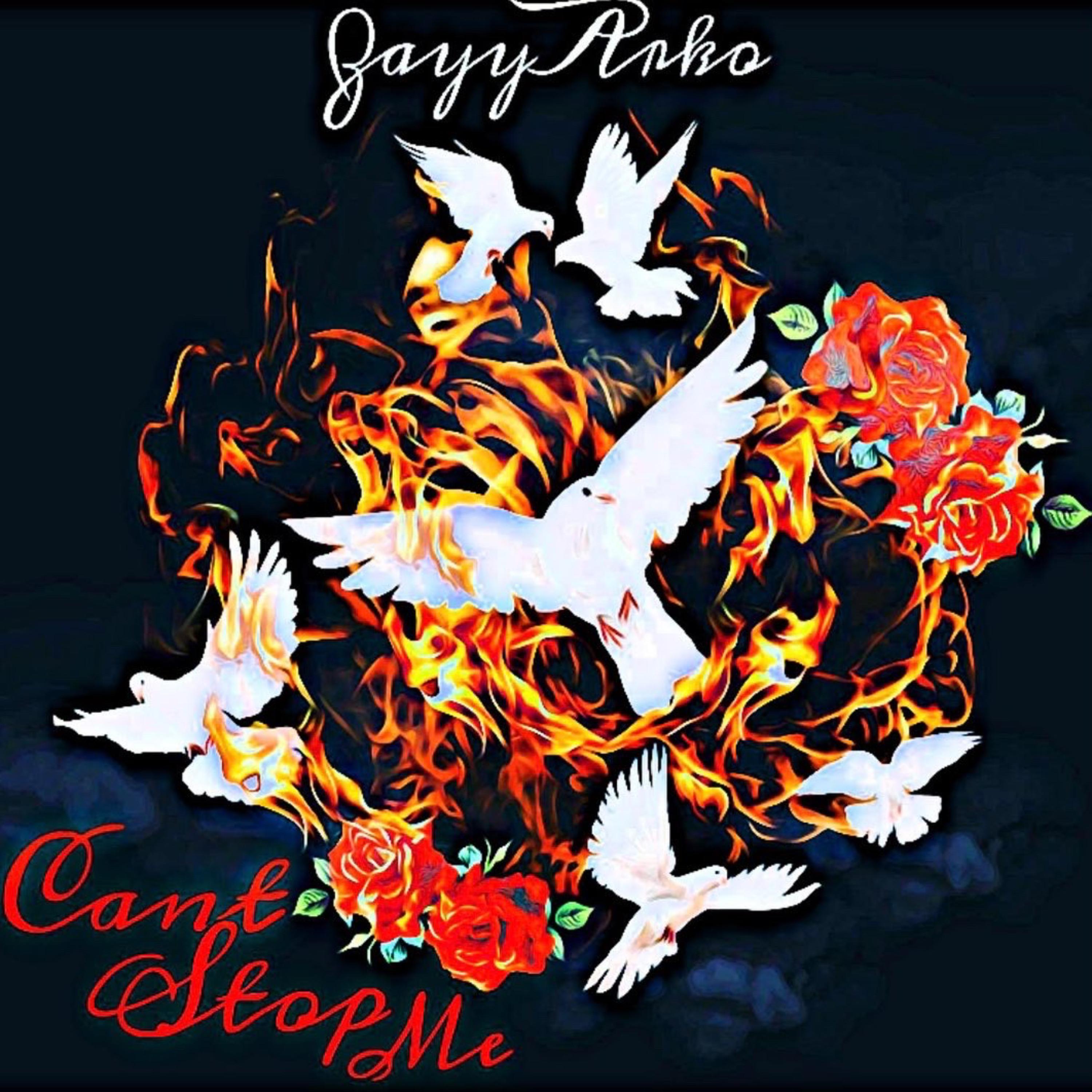 CANT STOP ME. artwork