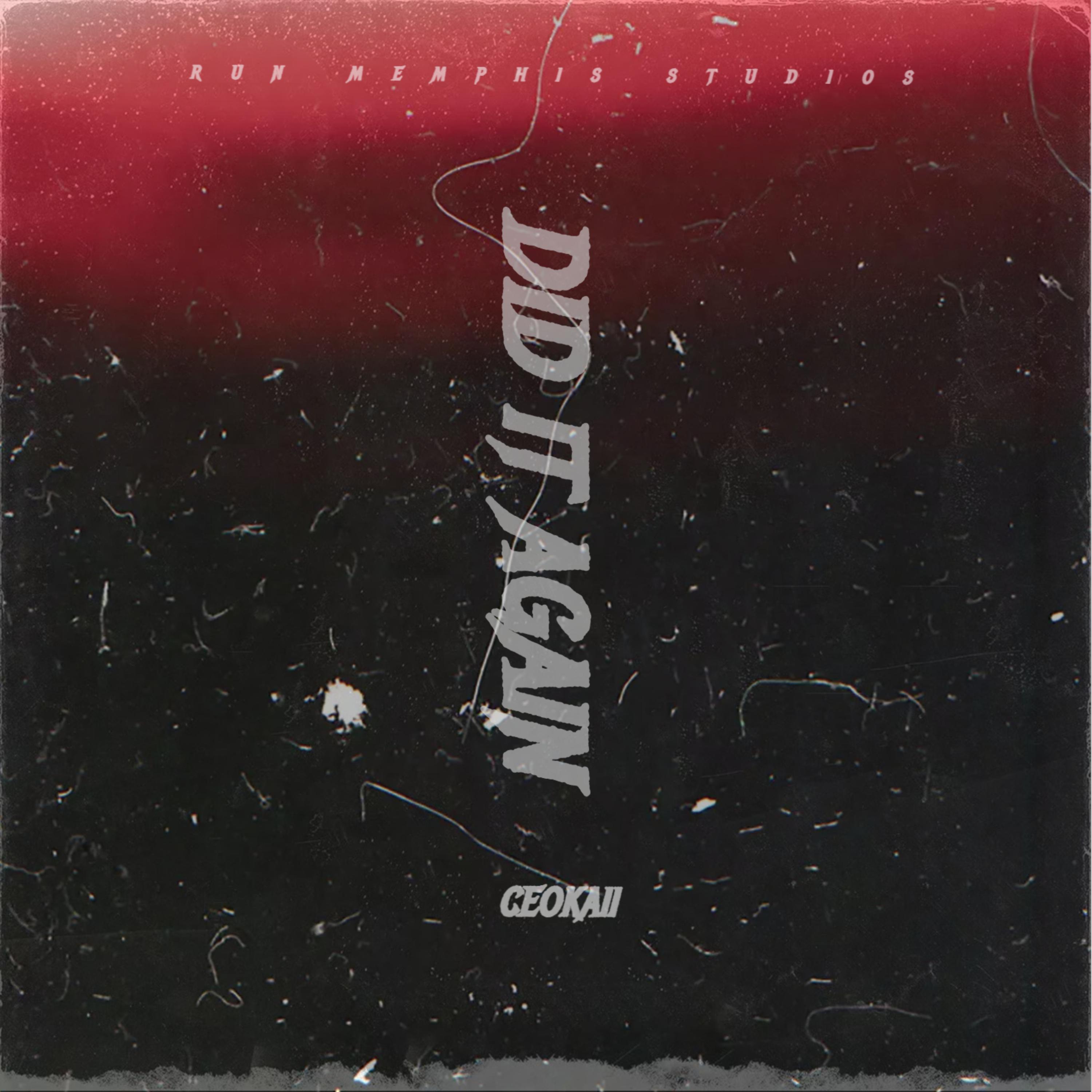 DID IT AGAIN artwork