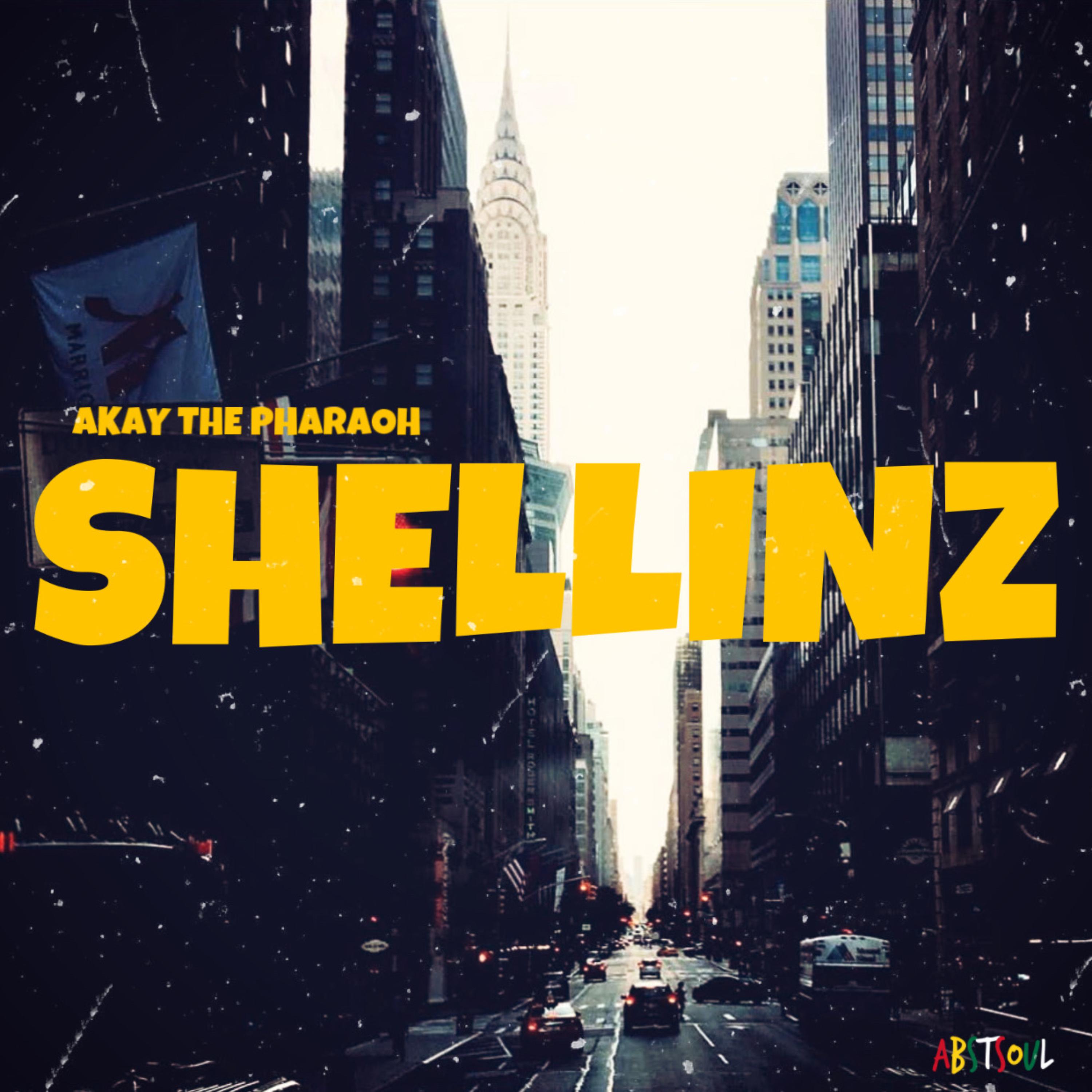 Shellinz artwork