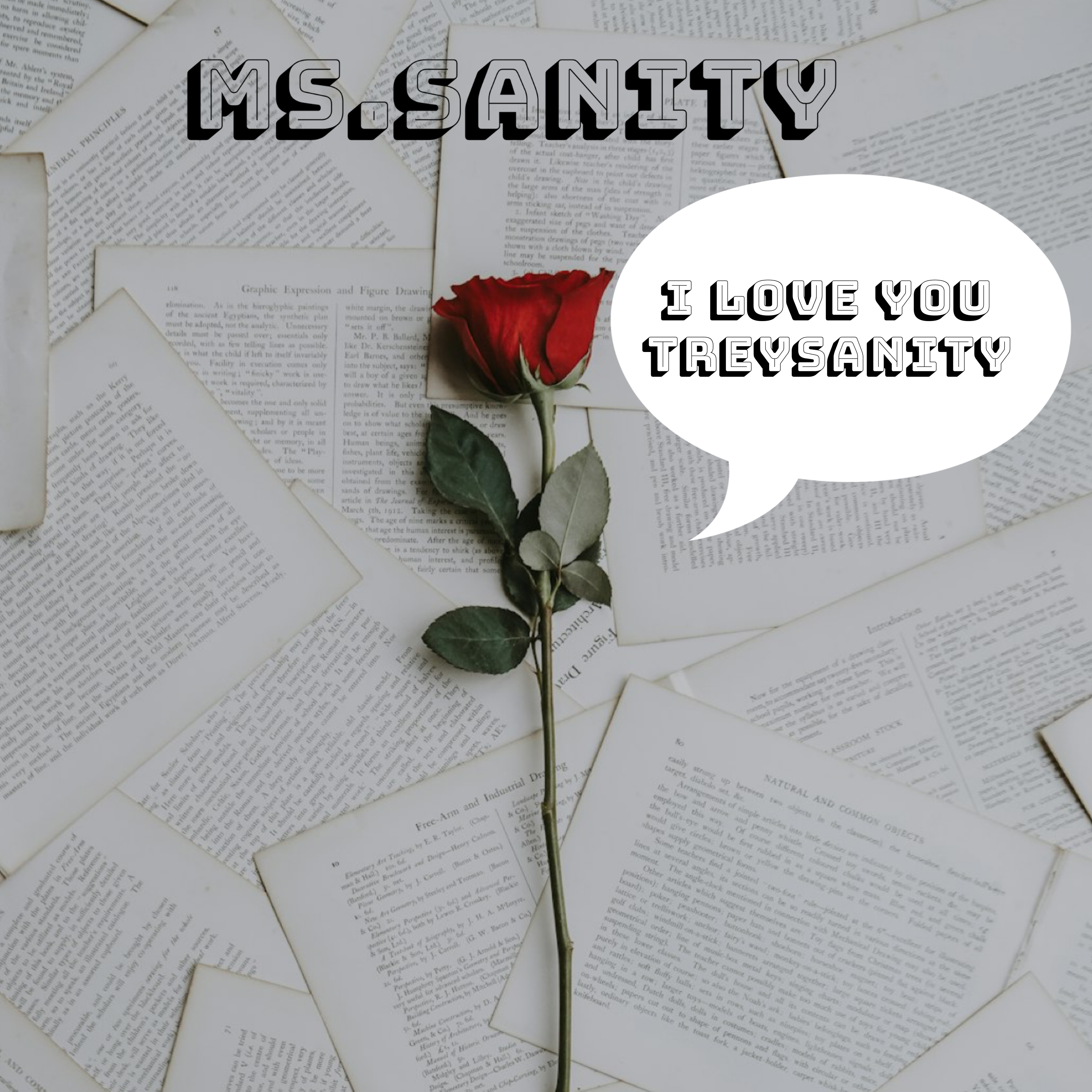 Ms.Sanity artwork