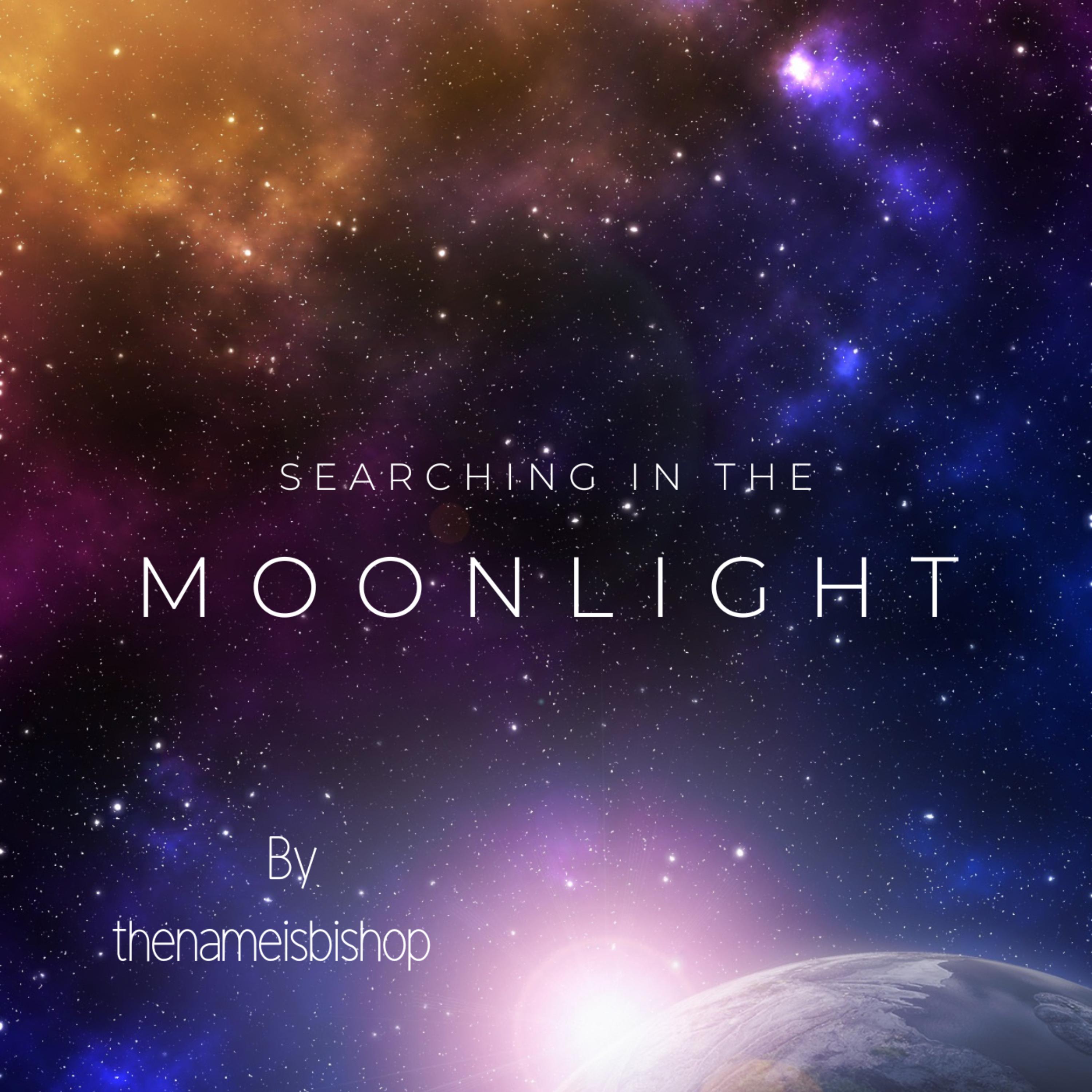 Searching In The Moonlight artwork