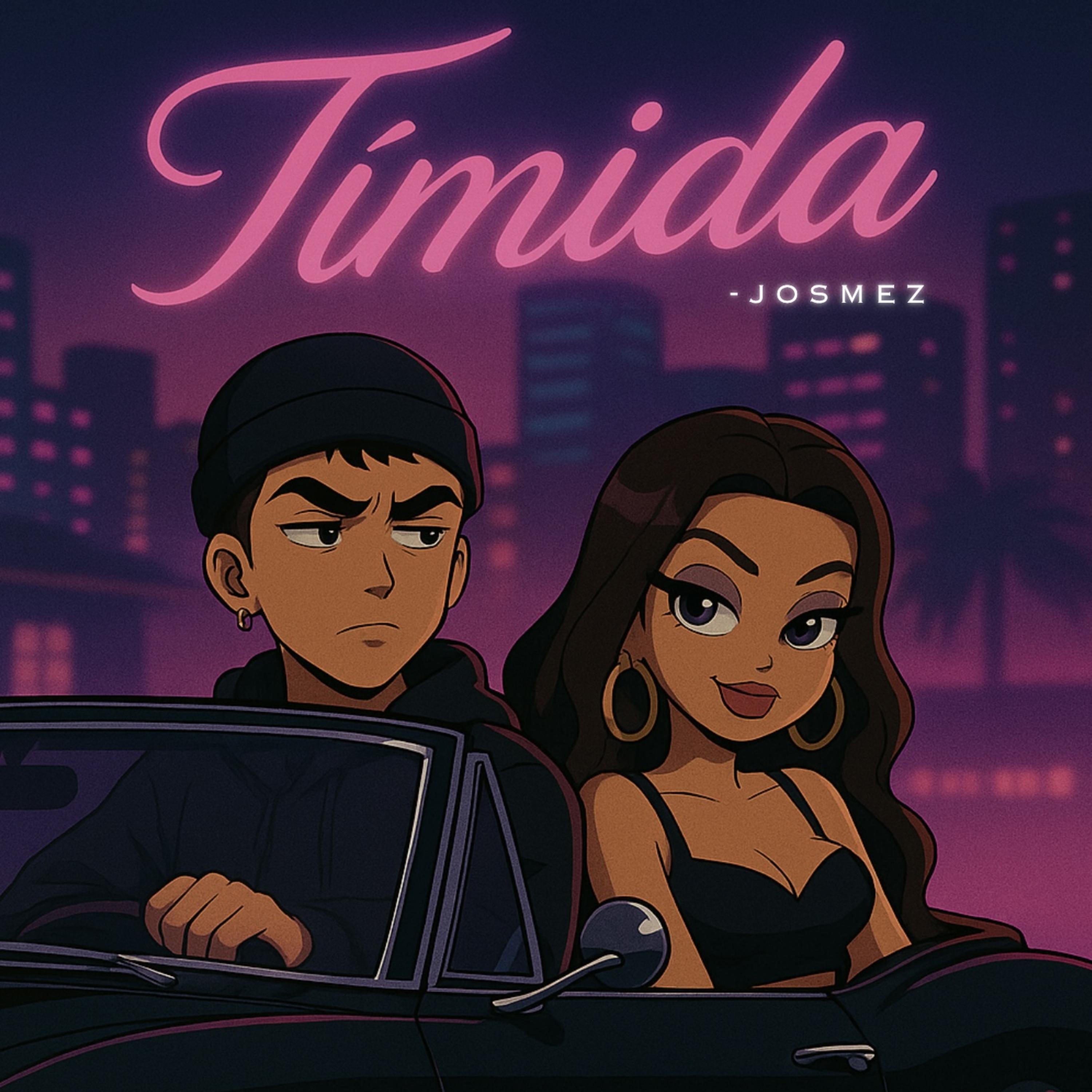Tímida artwork