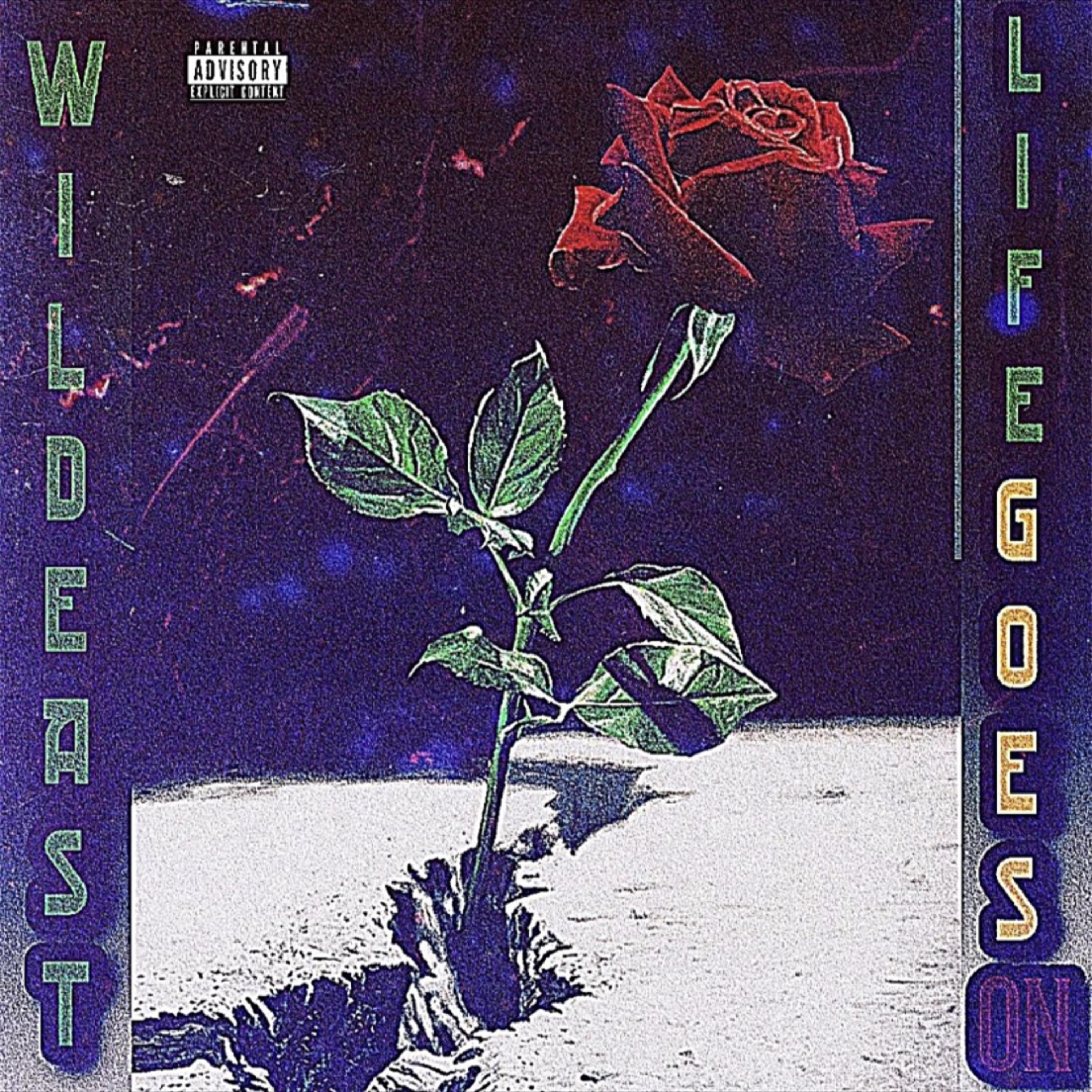 LIFE GOES ON by Wildeast cover art