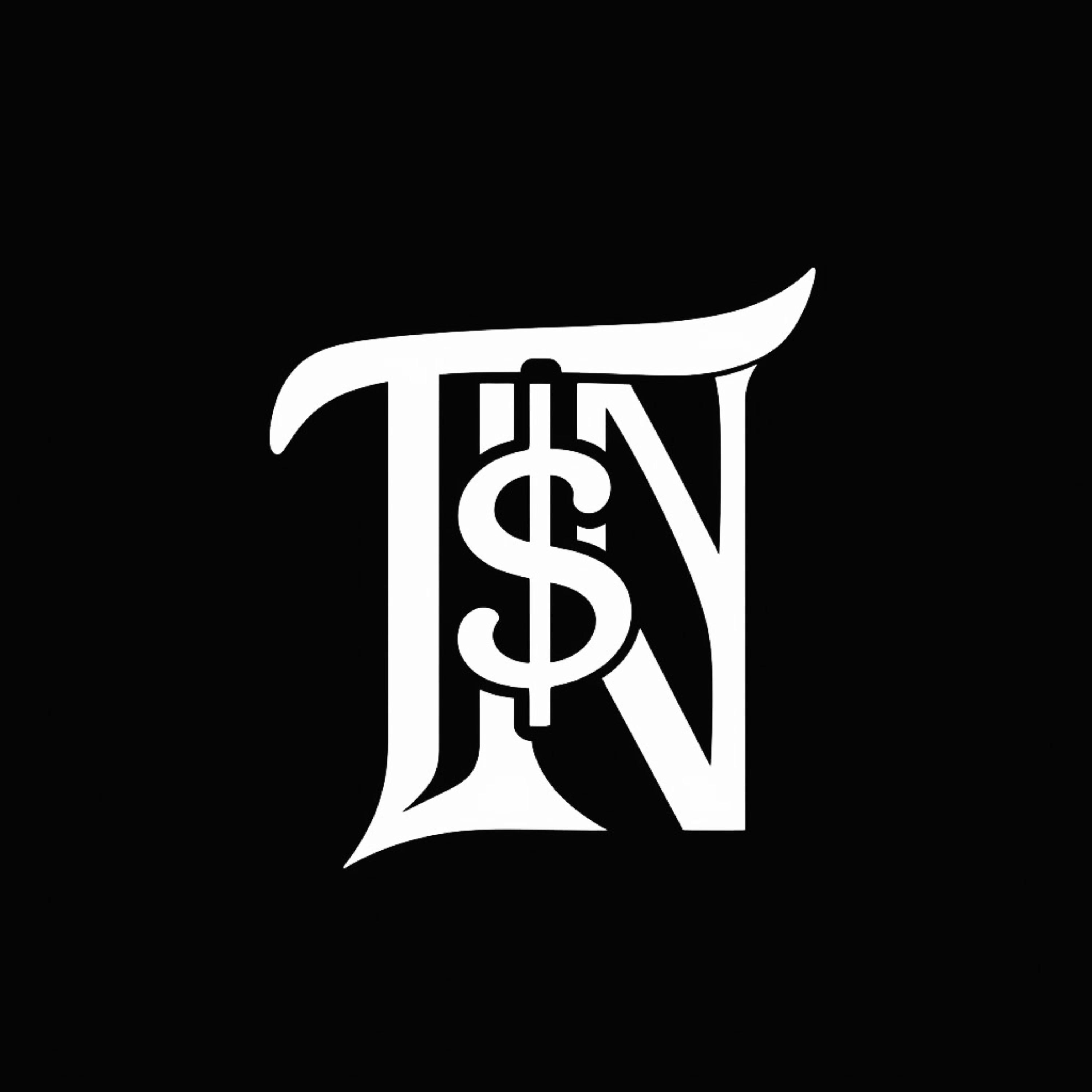 T$N World artwork