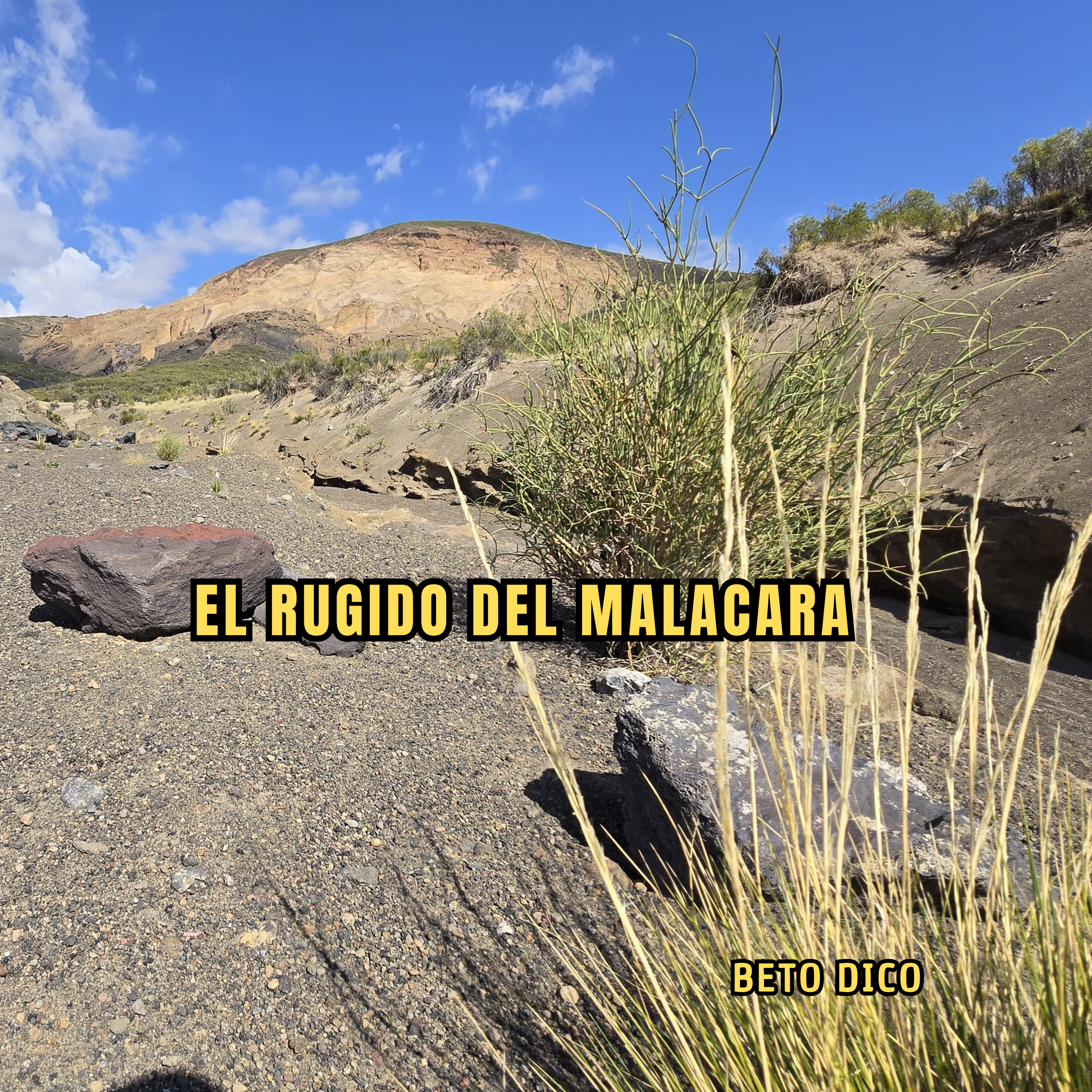 El Rugido del Malacara artwork