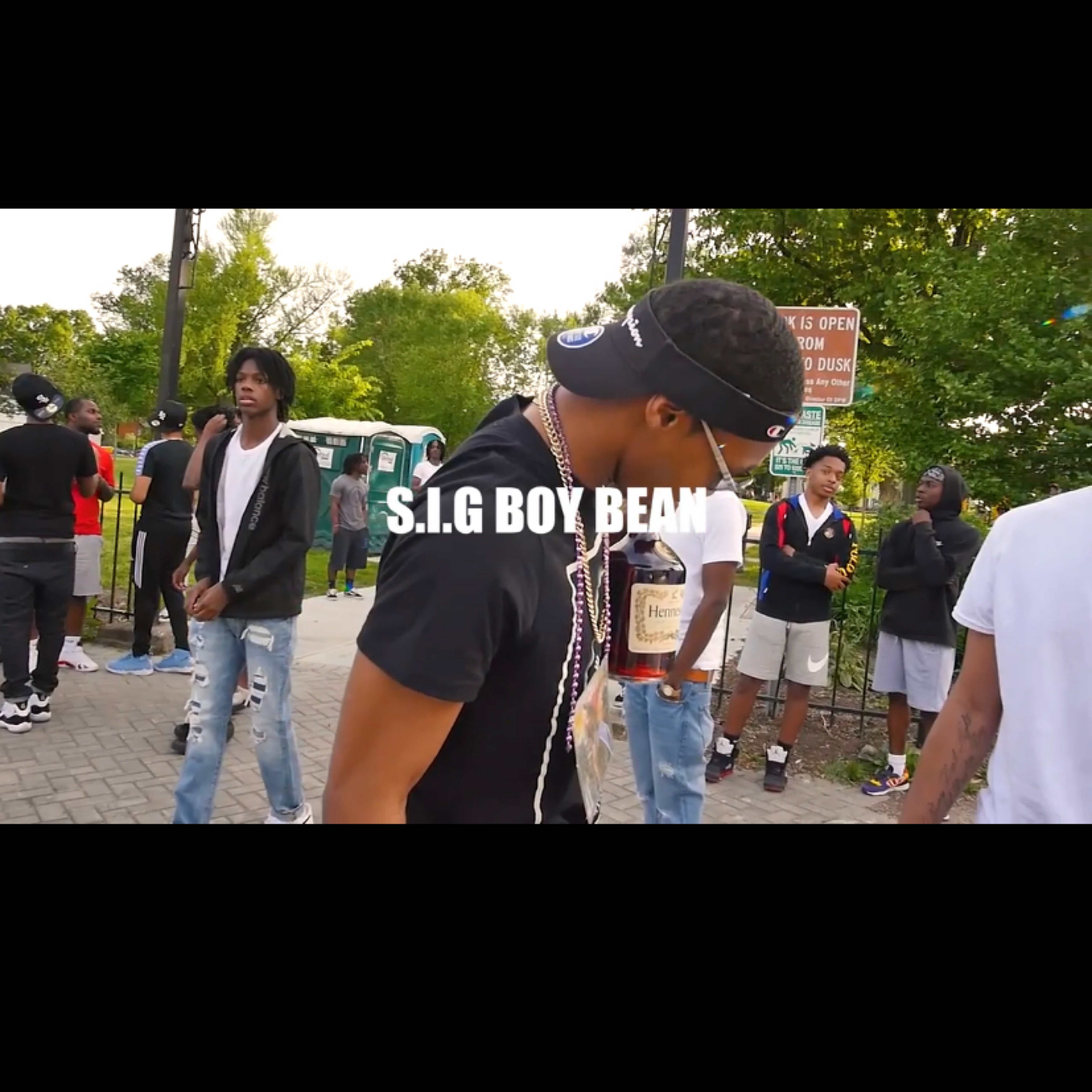 Different breed artwork