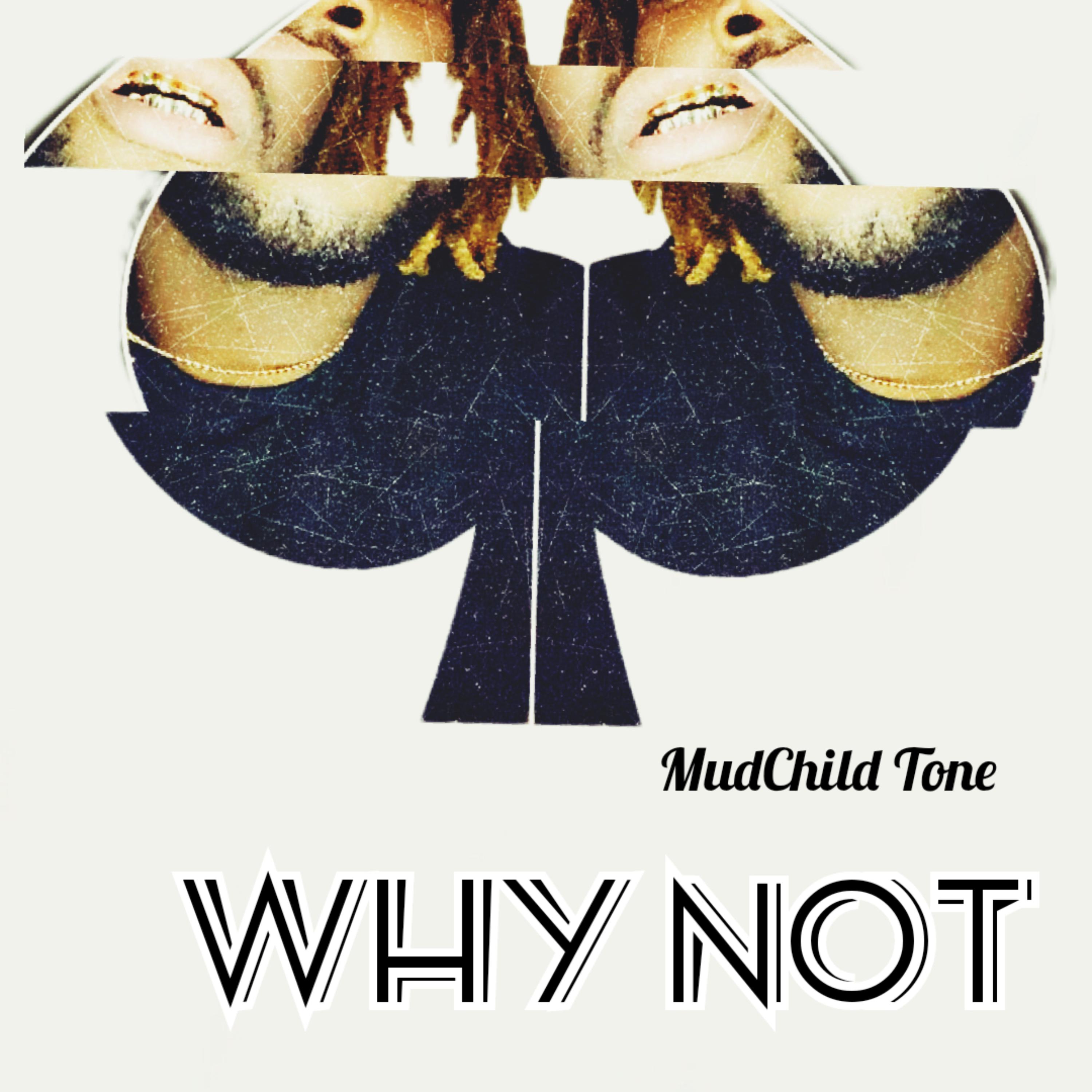 Why Not artwork