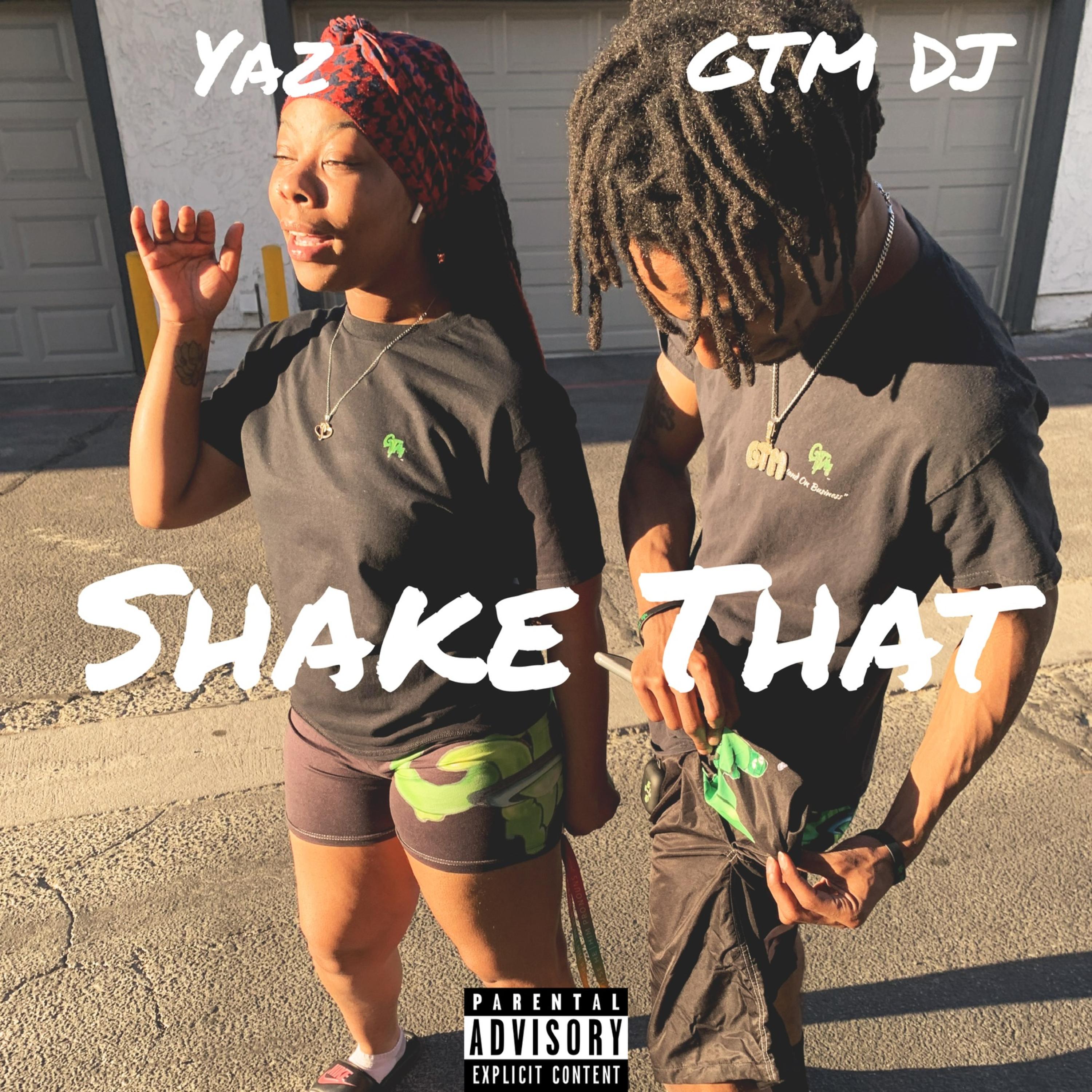 Shake That artwork