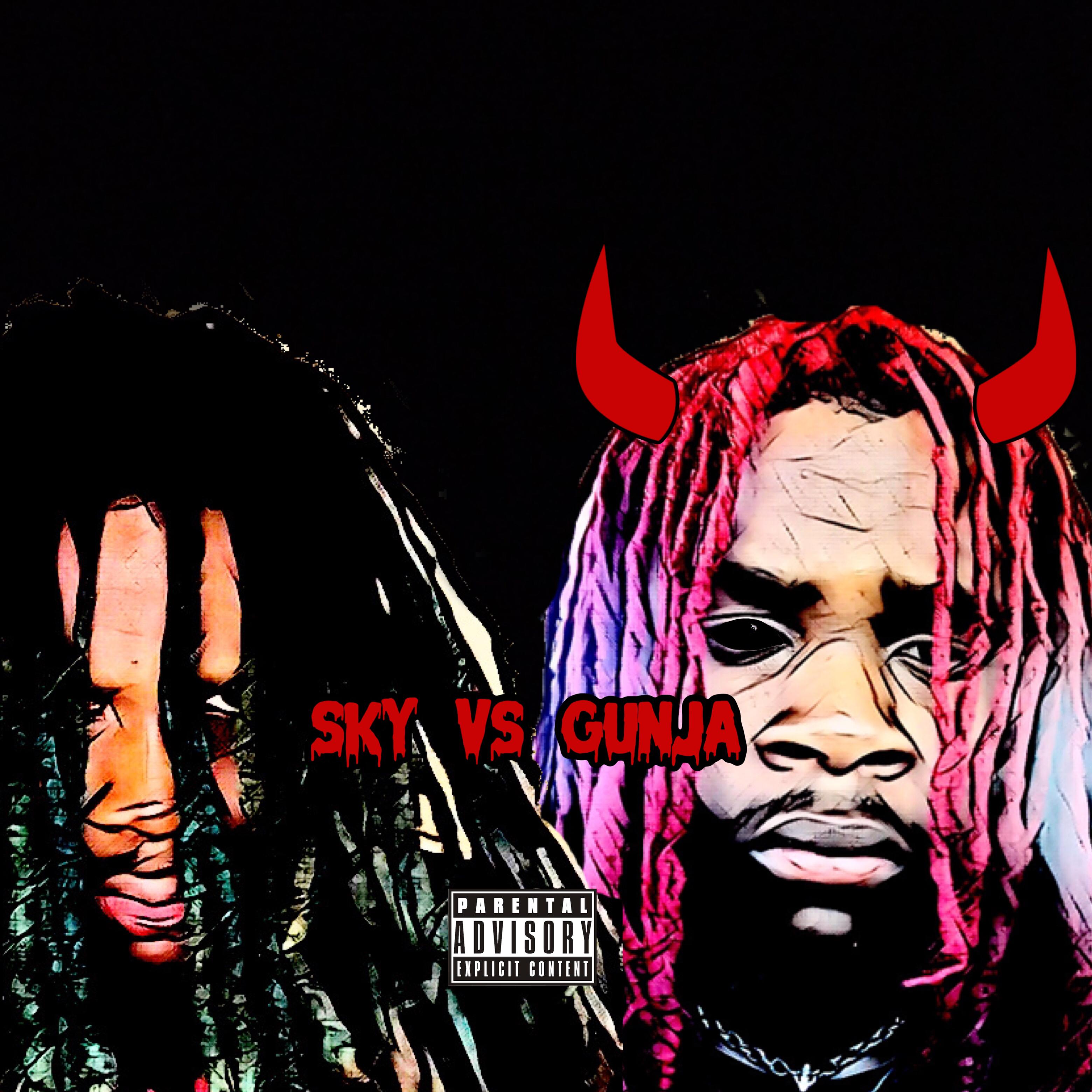 Sky Vs Gunja (Deluxe) artwork