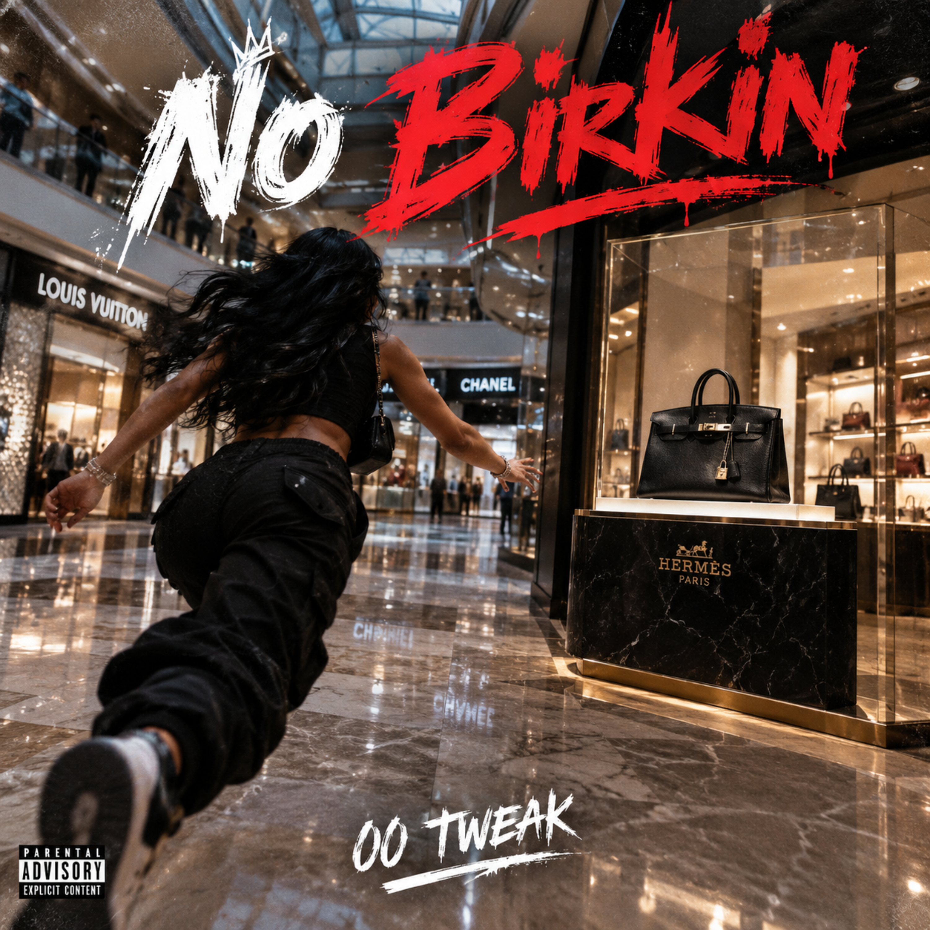 No Birkin by 00 Tweak cover art
