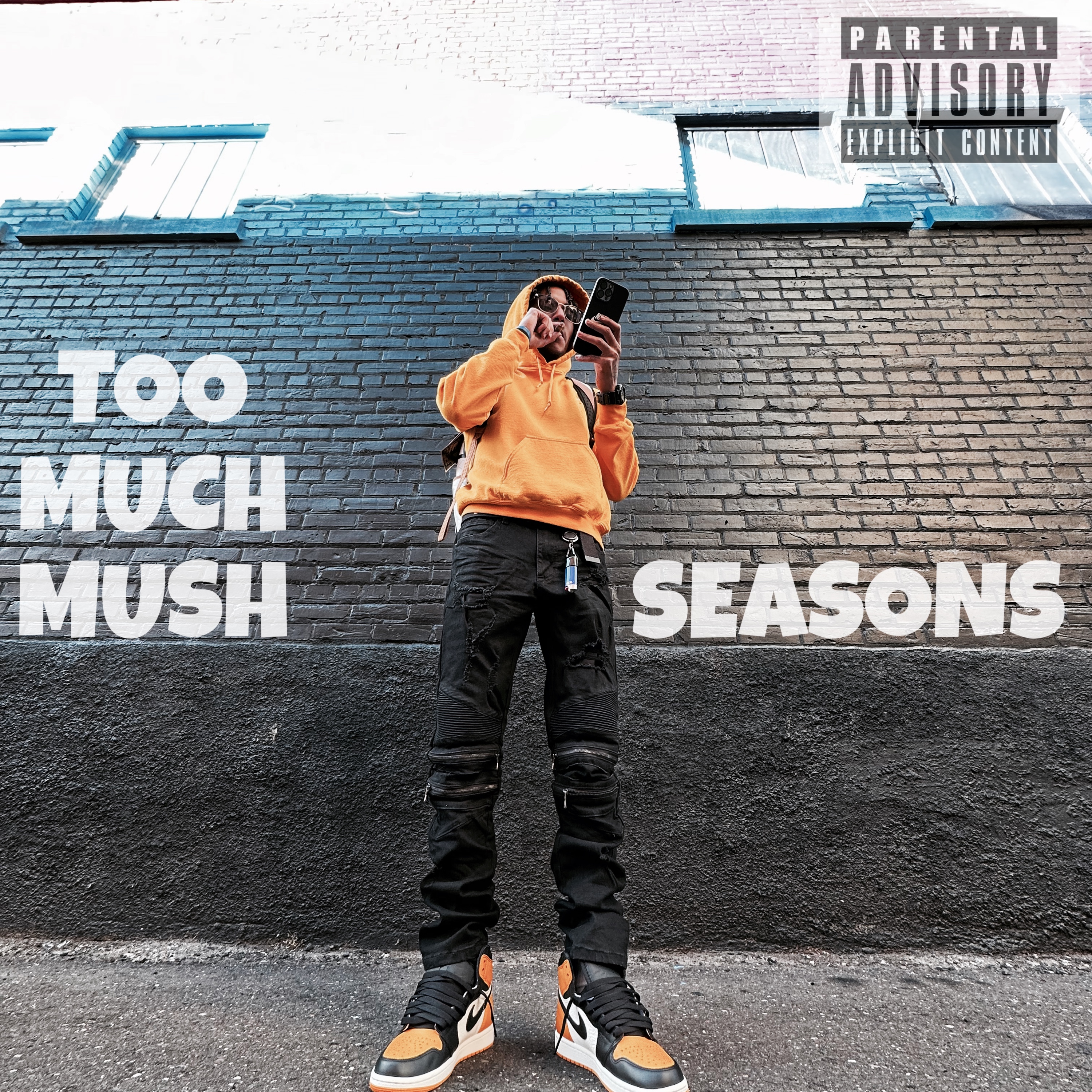 Seasons by TOOMUCHMUSH cover art
