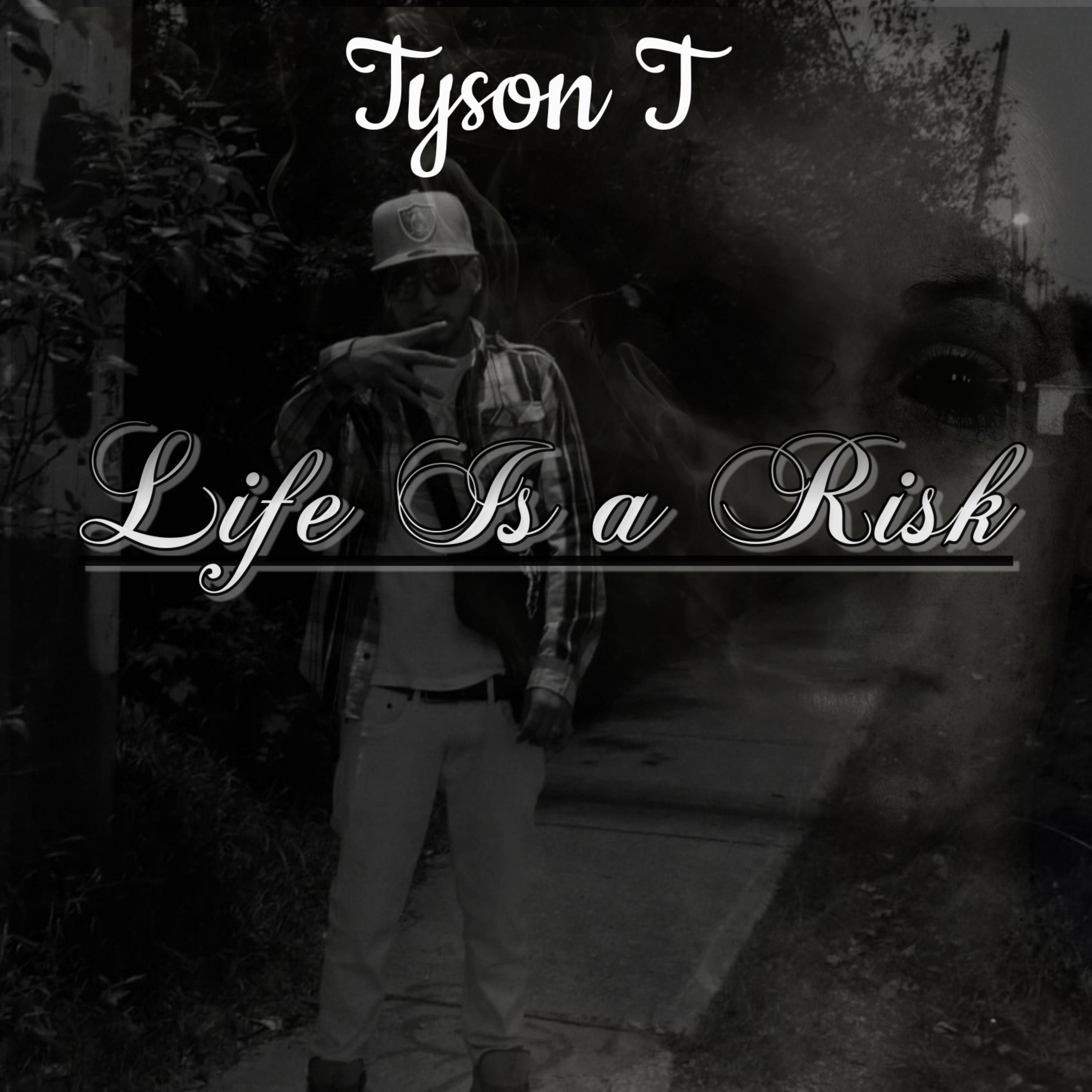 Life Is a Risk artwork
