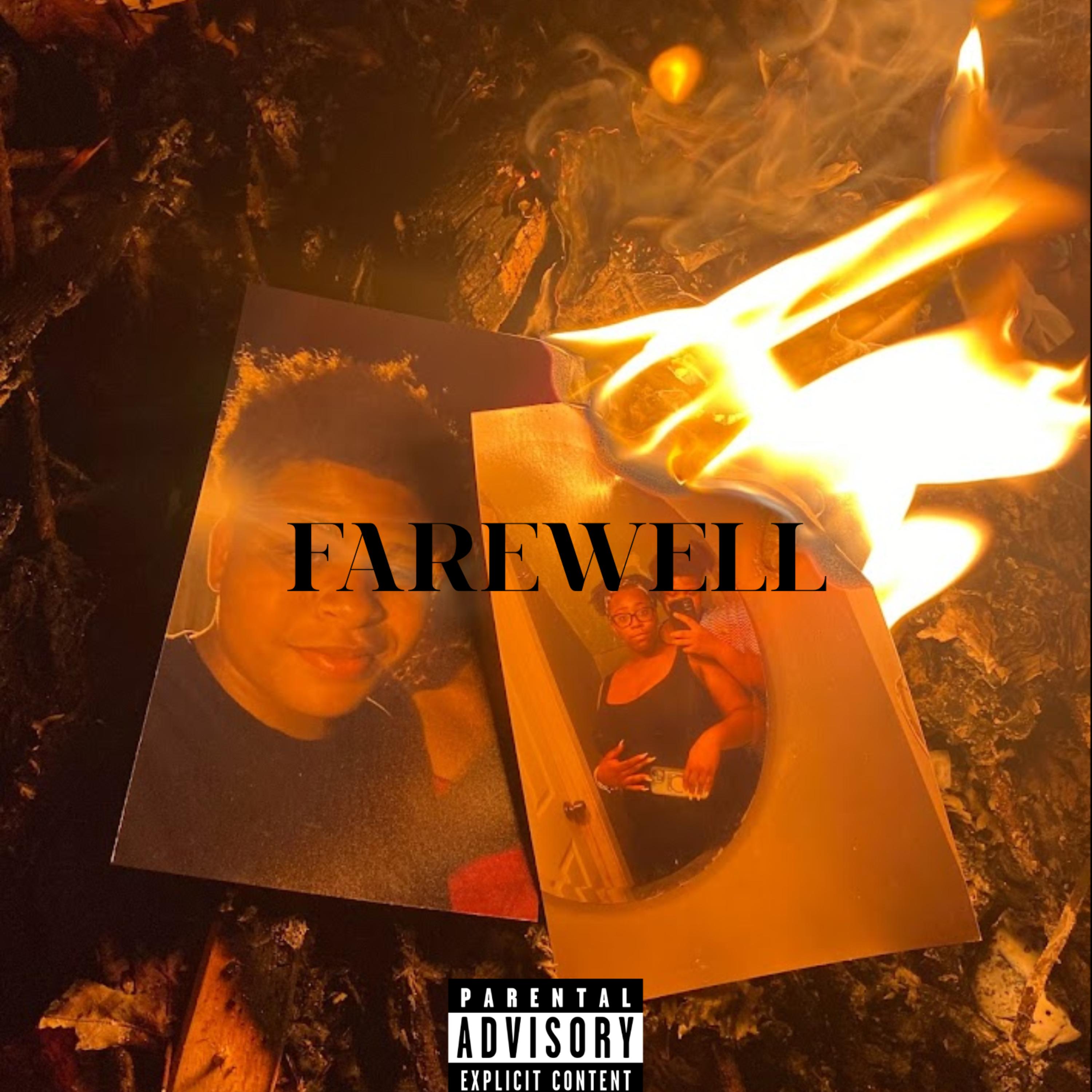 FAREWELL artwork