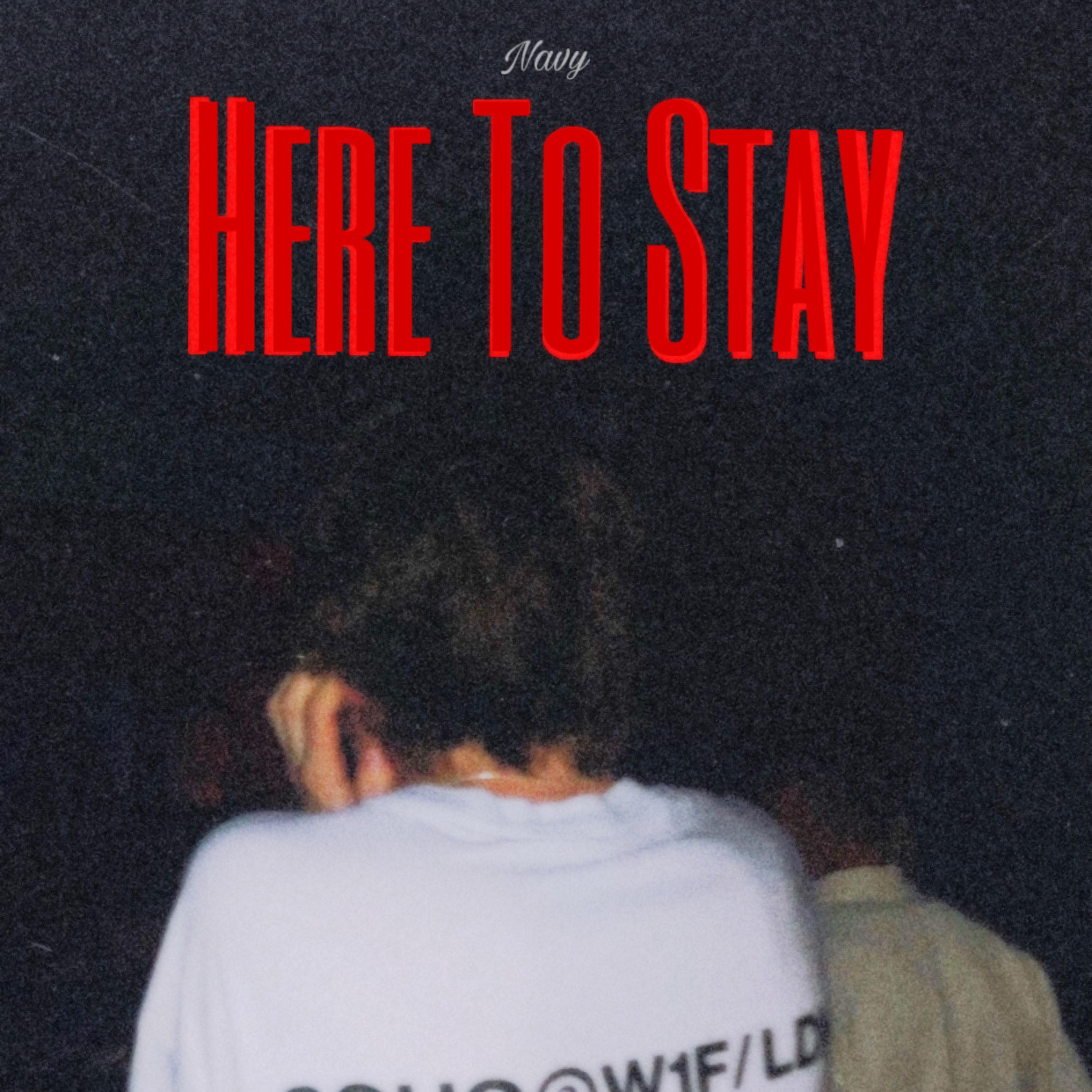 Here To Stay artwork