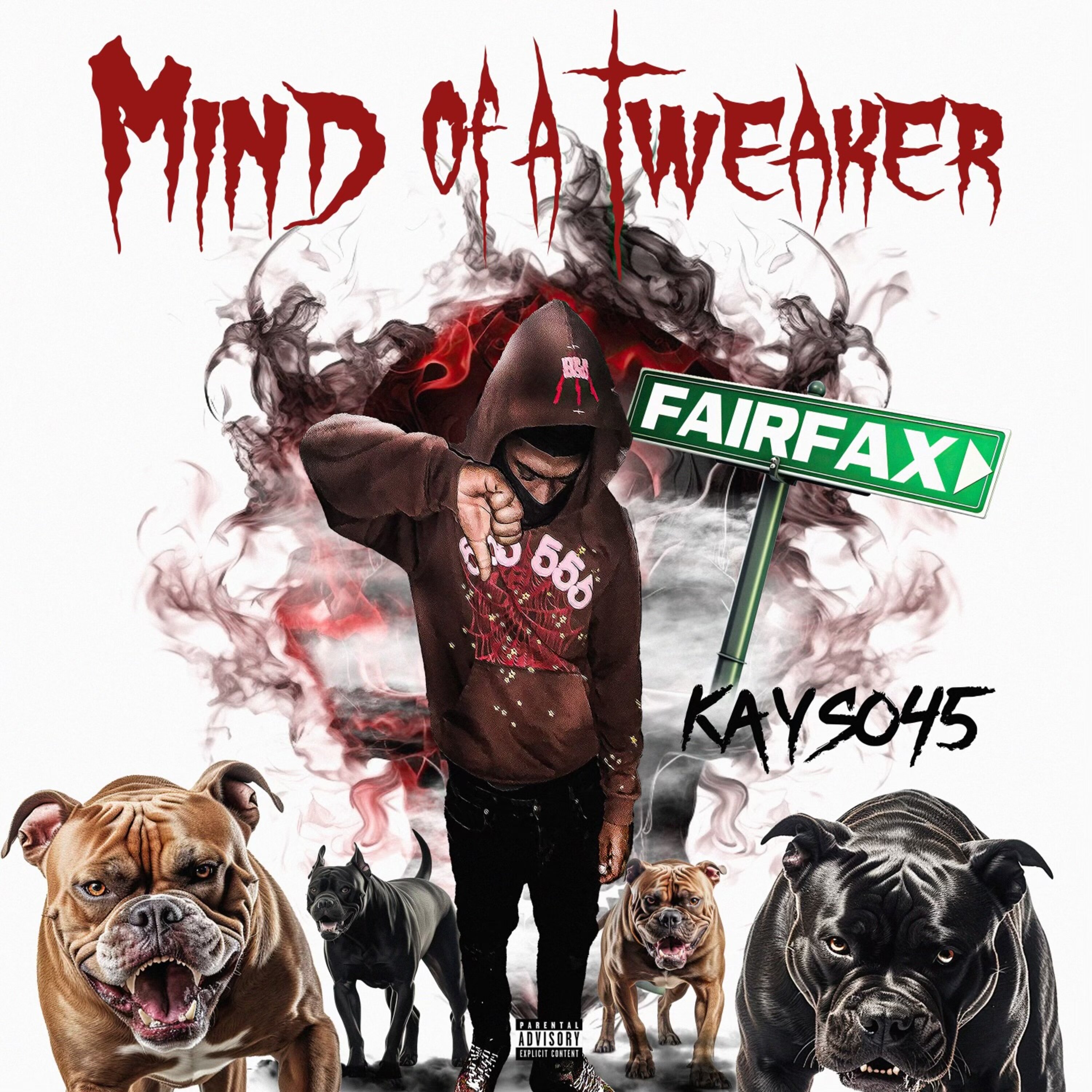 Mind Of A Tweaker artwork