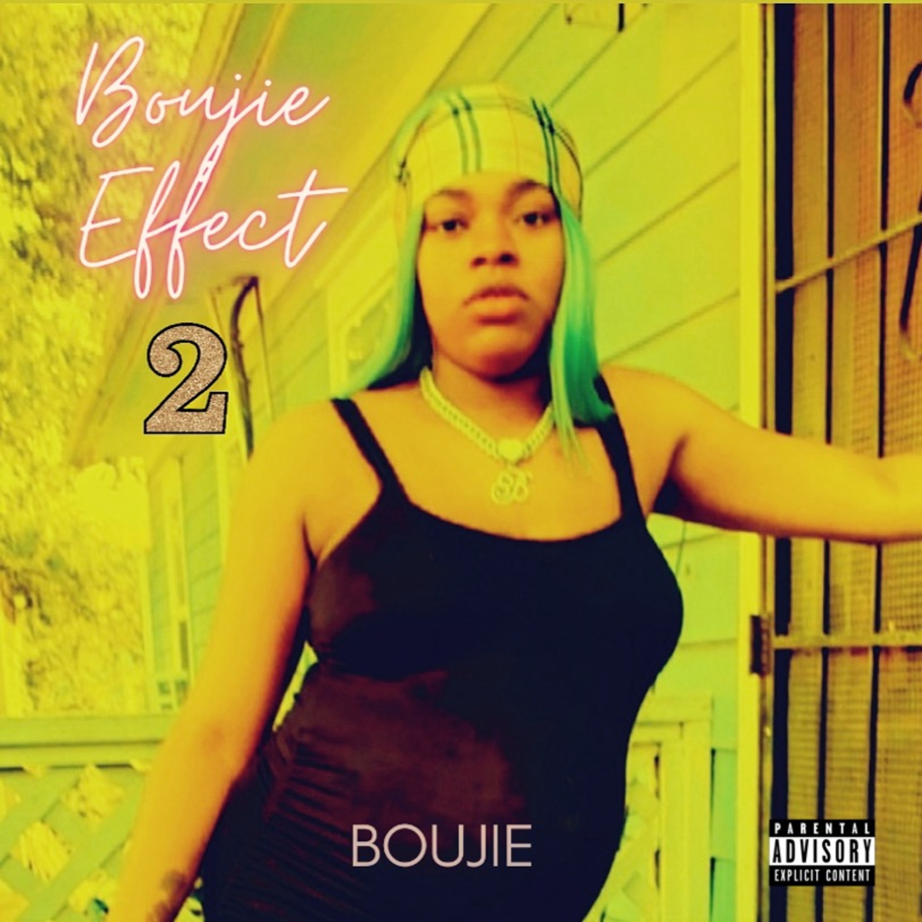 BoujeeEffect 2 artwork